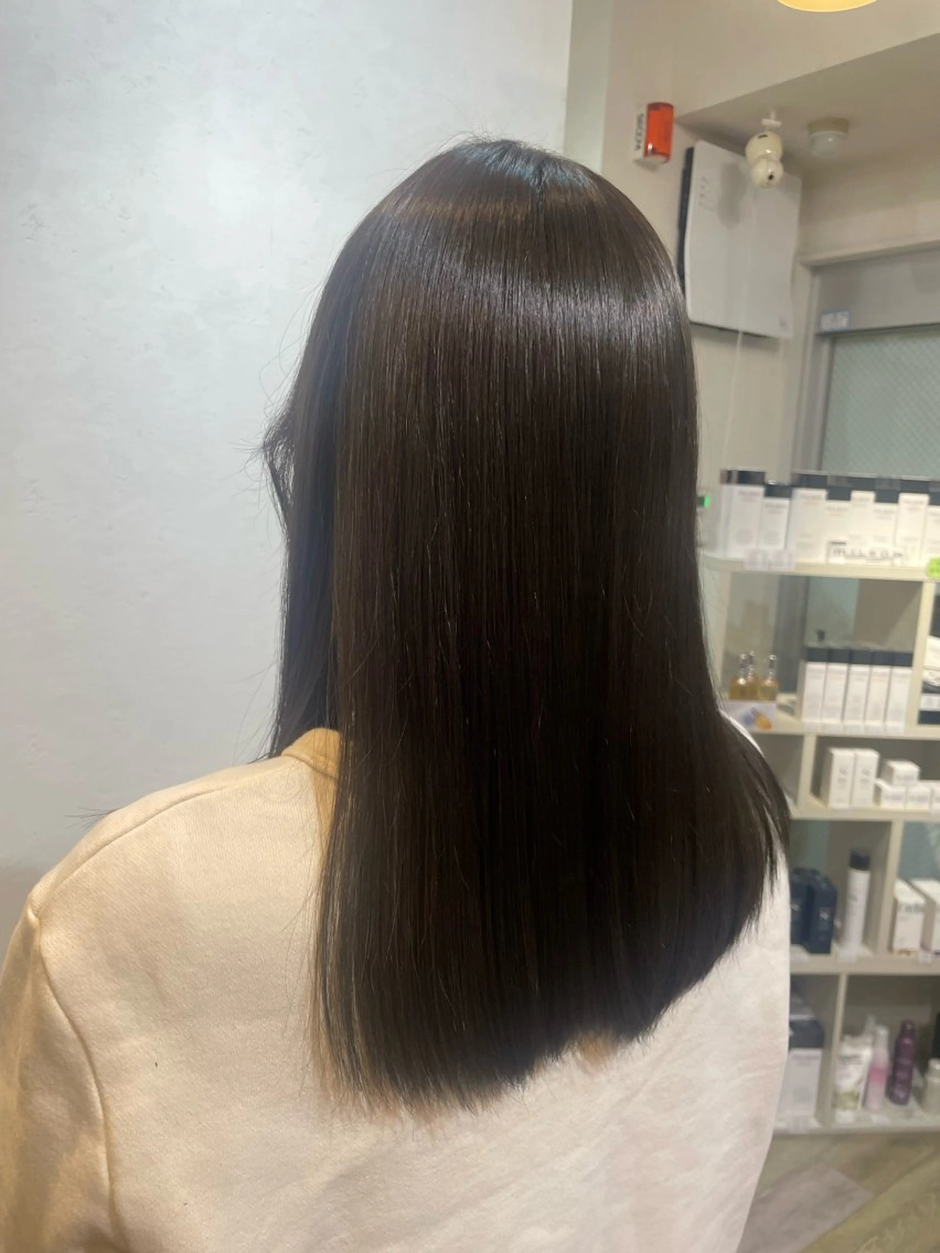 ワンカラーの写真