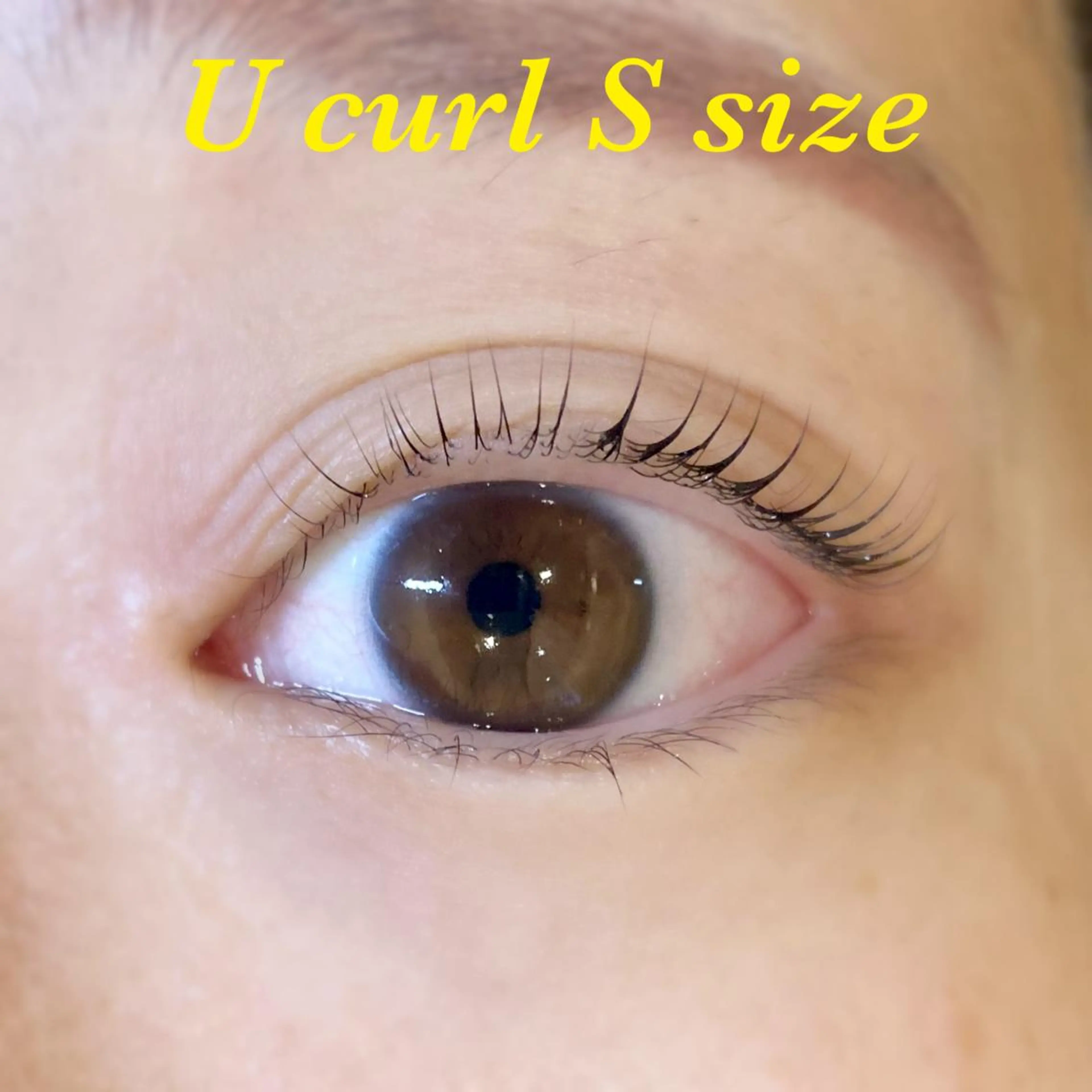 マツエク・マツパ KUON EYELASH SALON所属・KUON 溝の口 megumiのマツエク・マツパデザイン