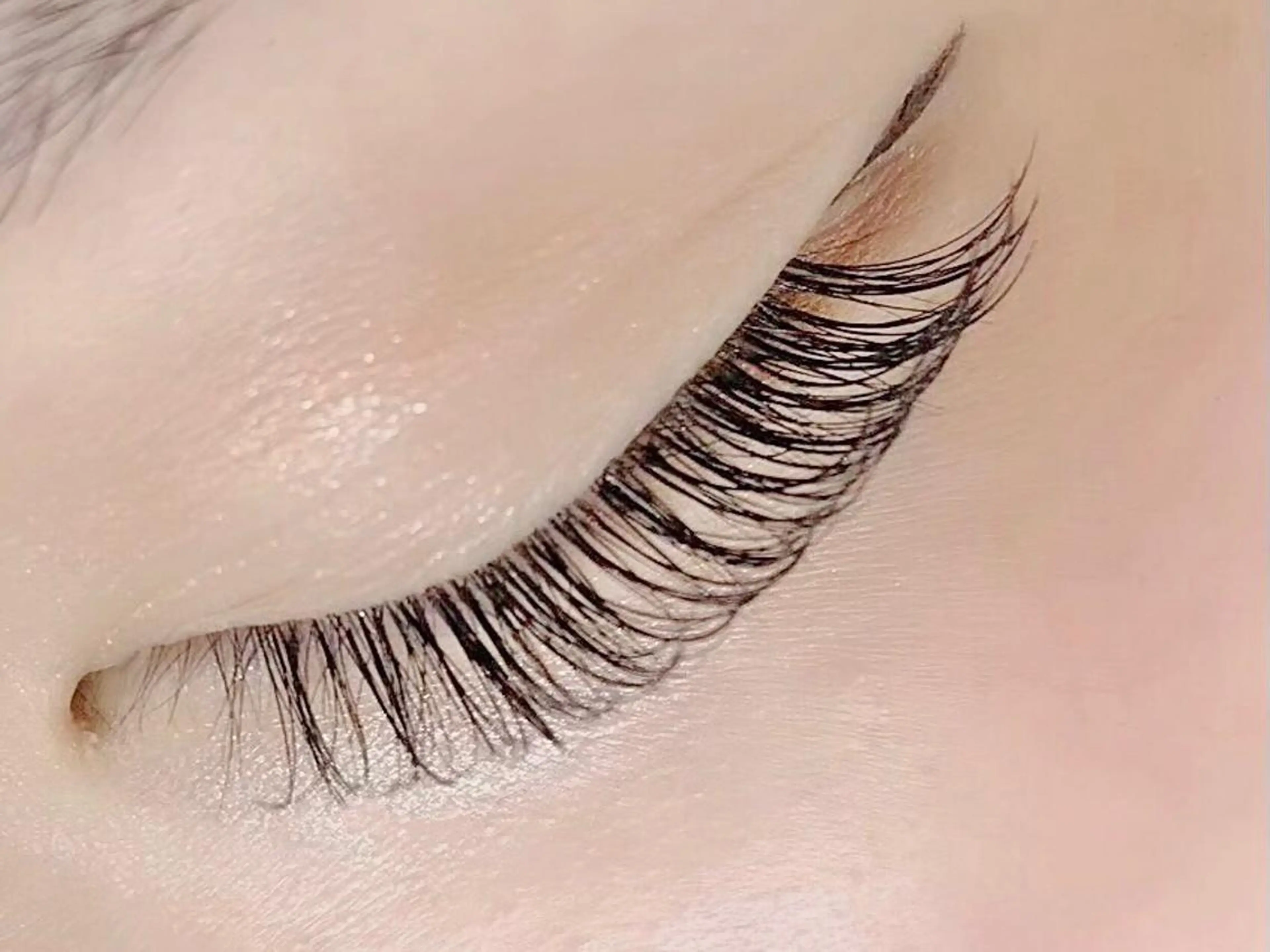 マツエク・マツパ Lily (リリー) 🔰古賀のマツエク・マツパデザイン