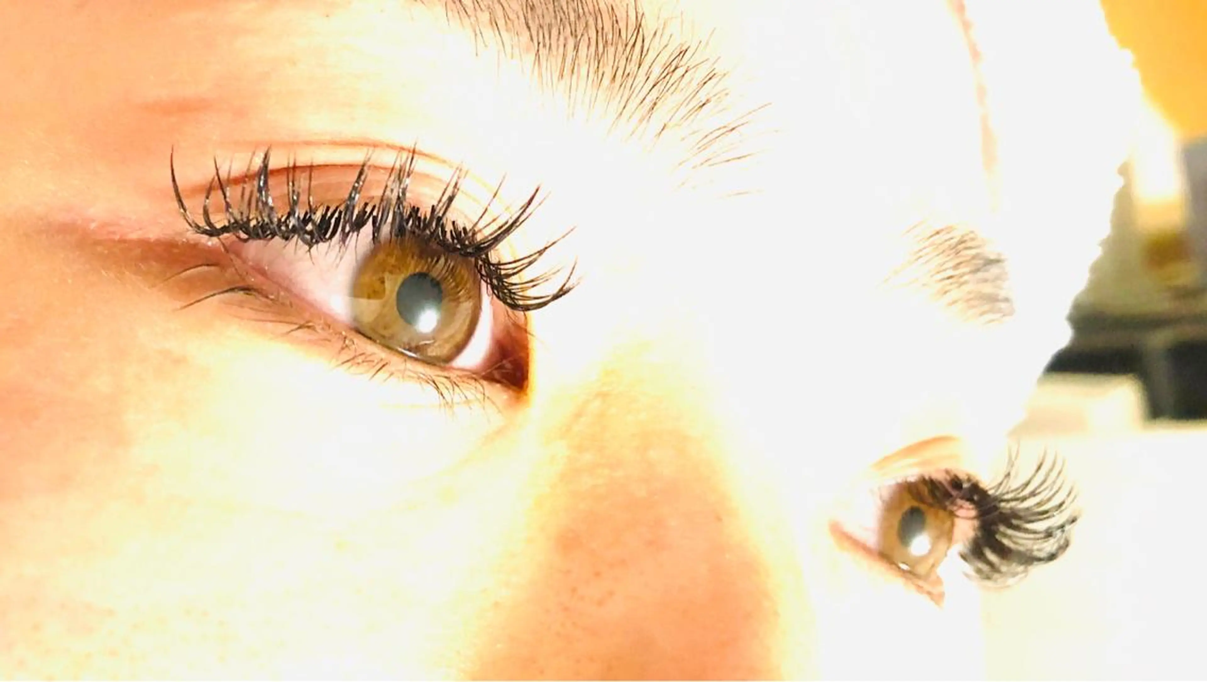 2Dラッシュ120束（240本程度）コーティング付の写真