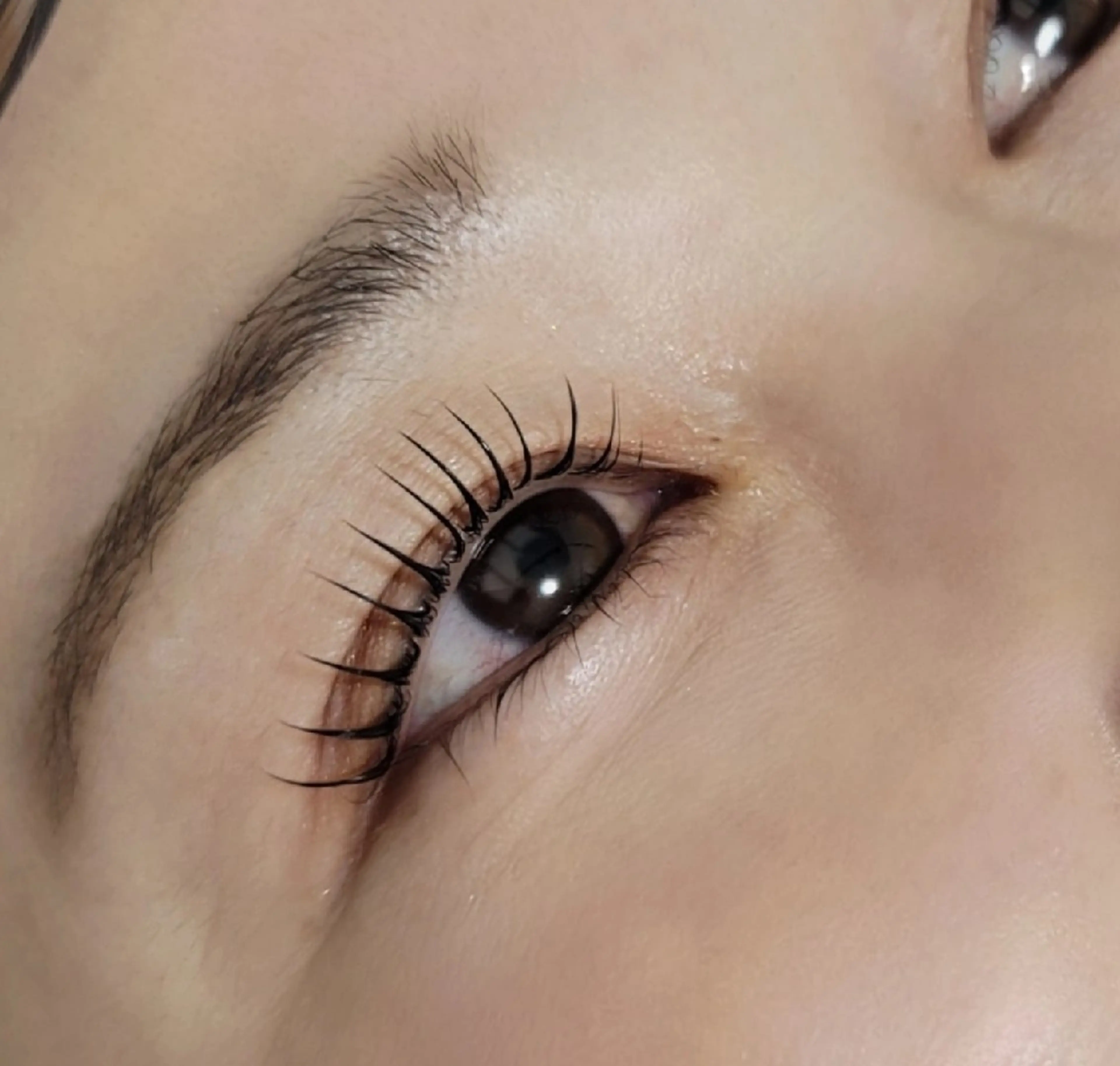 『上まつげパーマ(tr付)』💎ケラチントリートメント+1000の写真