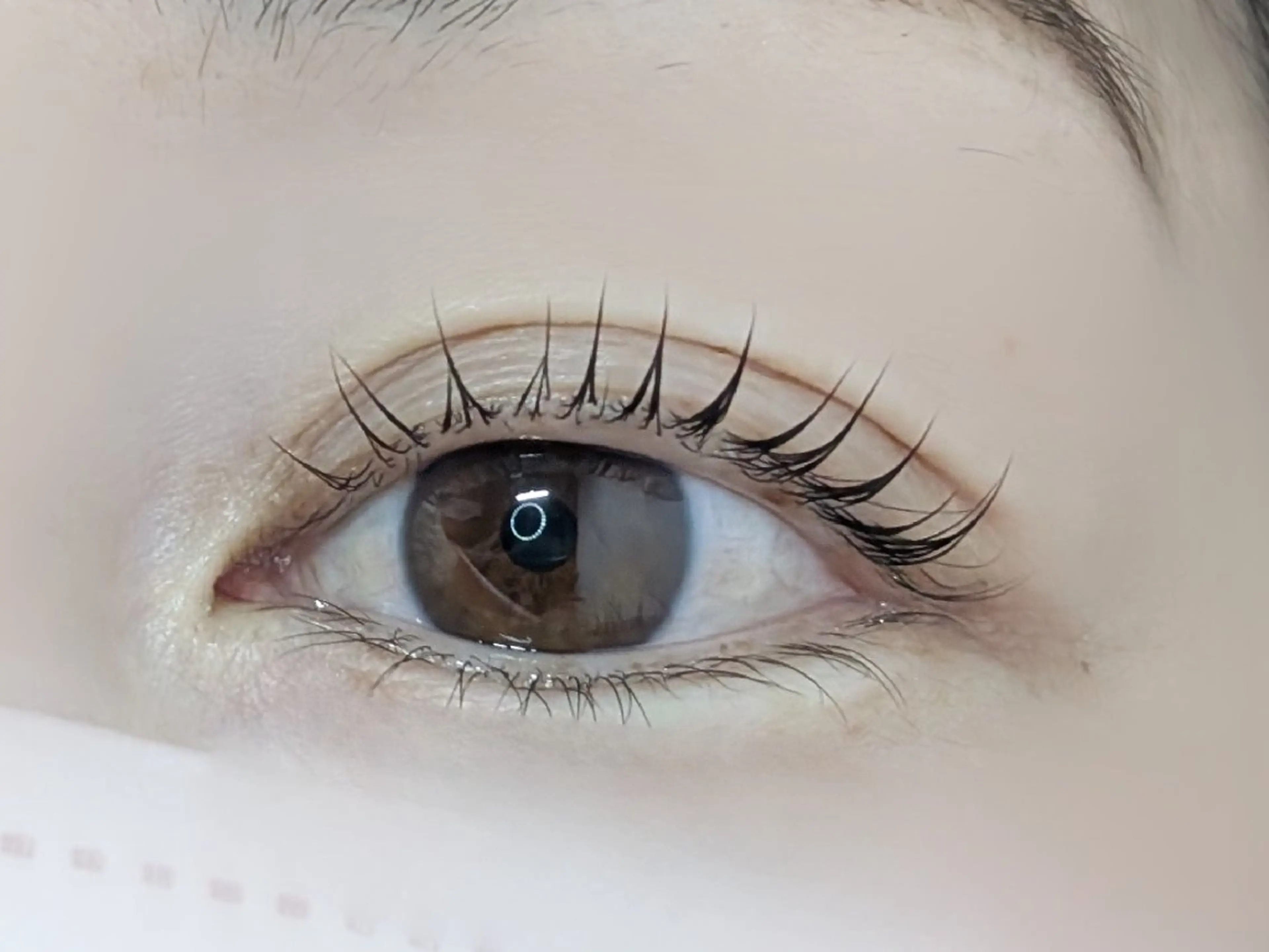 マツエク・マツパ bloom chihiroのマツエク・マツパデザイン