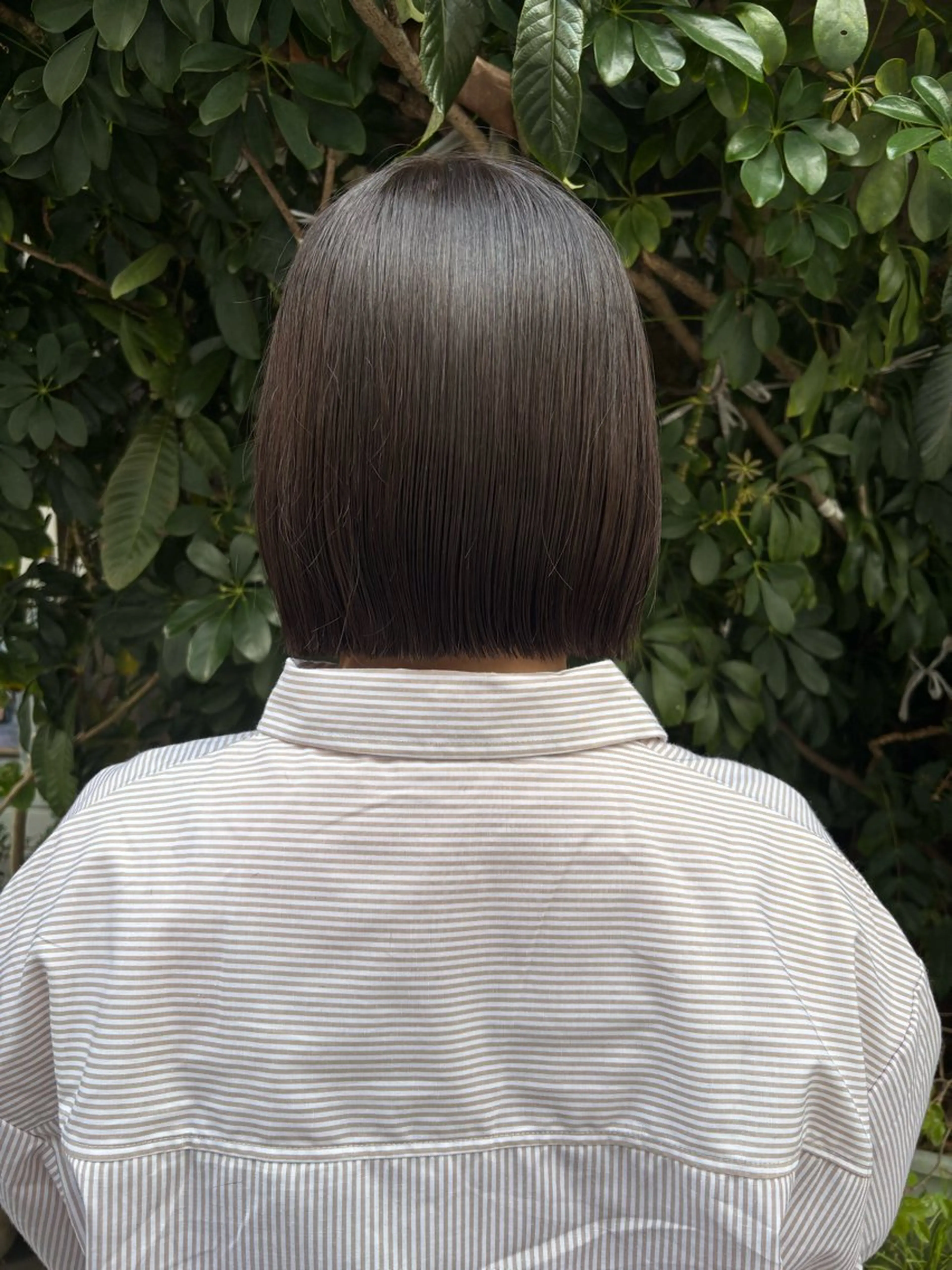 浦川 麗美のヘアスタイル