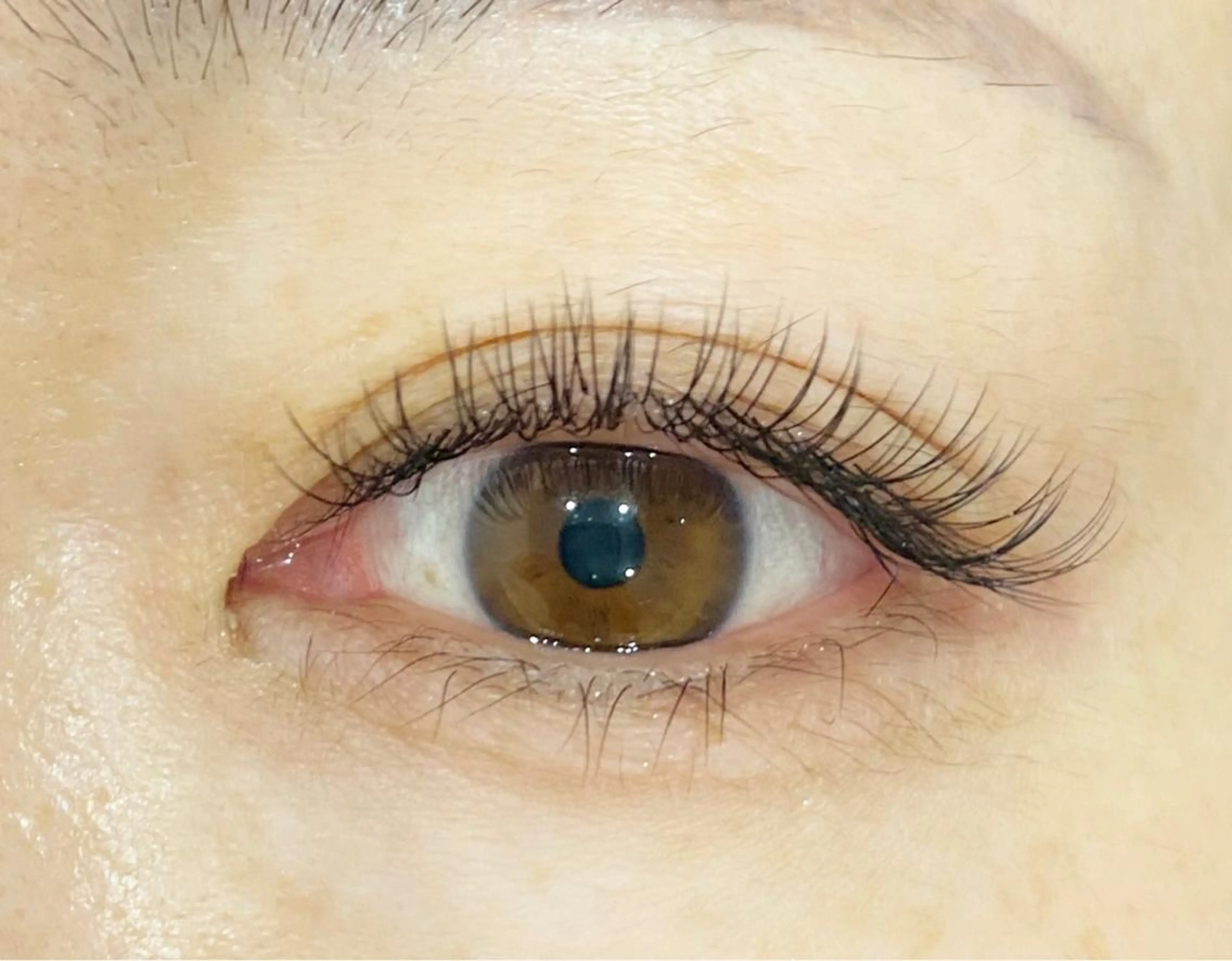 【1日一名様限定】エクステつけ放題！​〜​200本まで(オフ込み)の写真