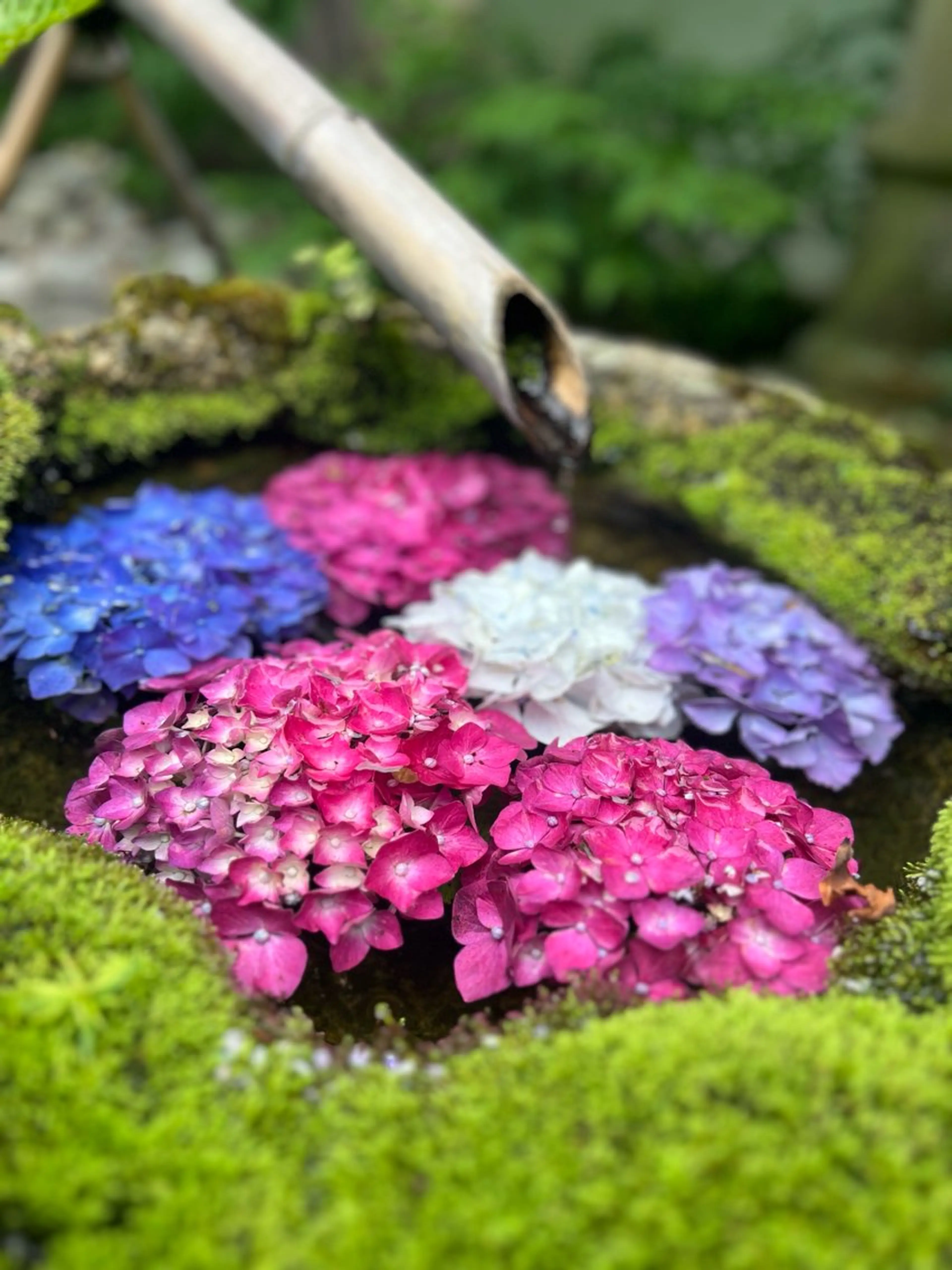 マツエク・マツパ 付け放題 バインドロック 束感まつ毛 フラットラッシュ パリジェンヌラッシュリフト マツエク オーロラ所属・AURORA RINAのマツエク・マツパデザイン