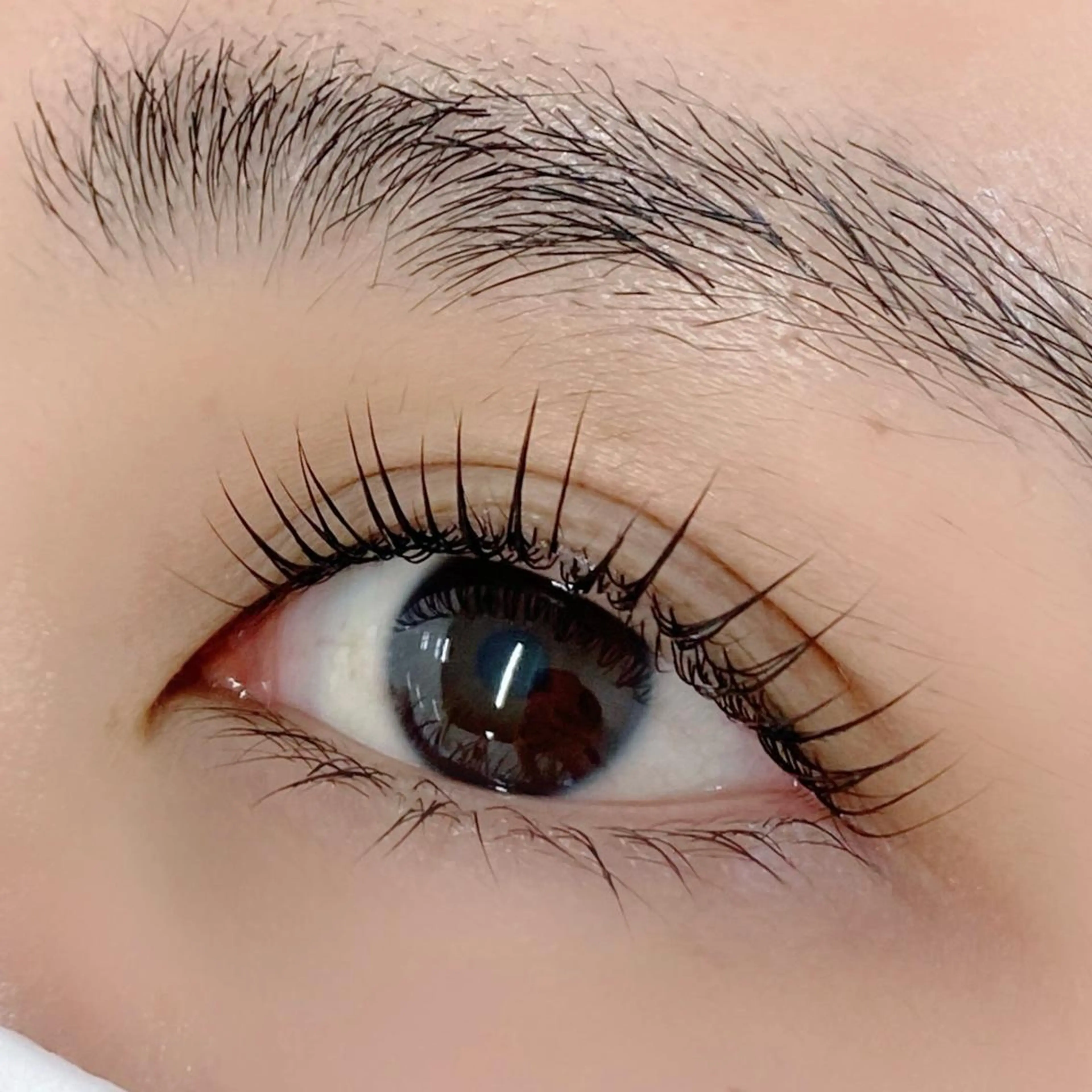 マツエク・マツパ AIRISU𓍯 eyelashのマツエク・マツパデザイン