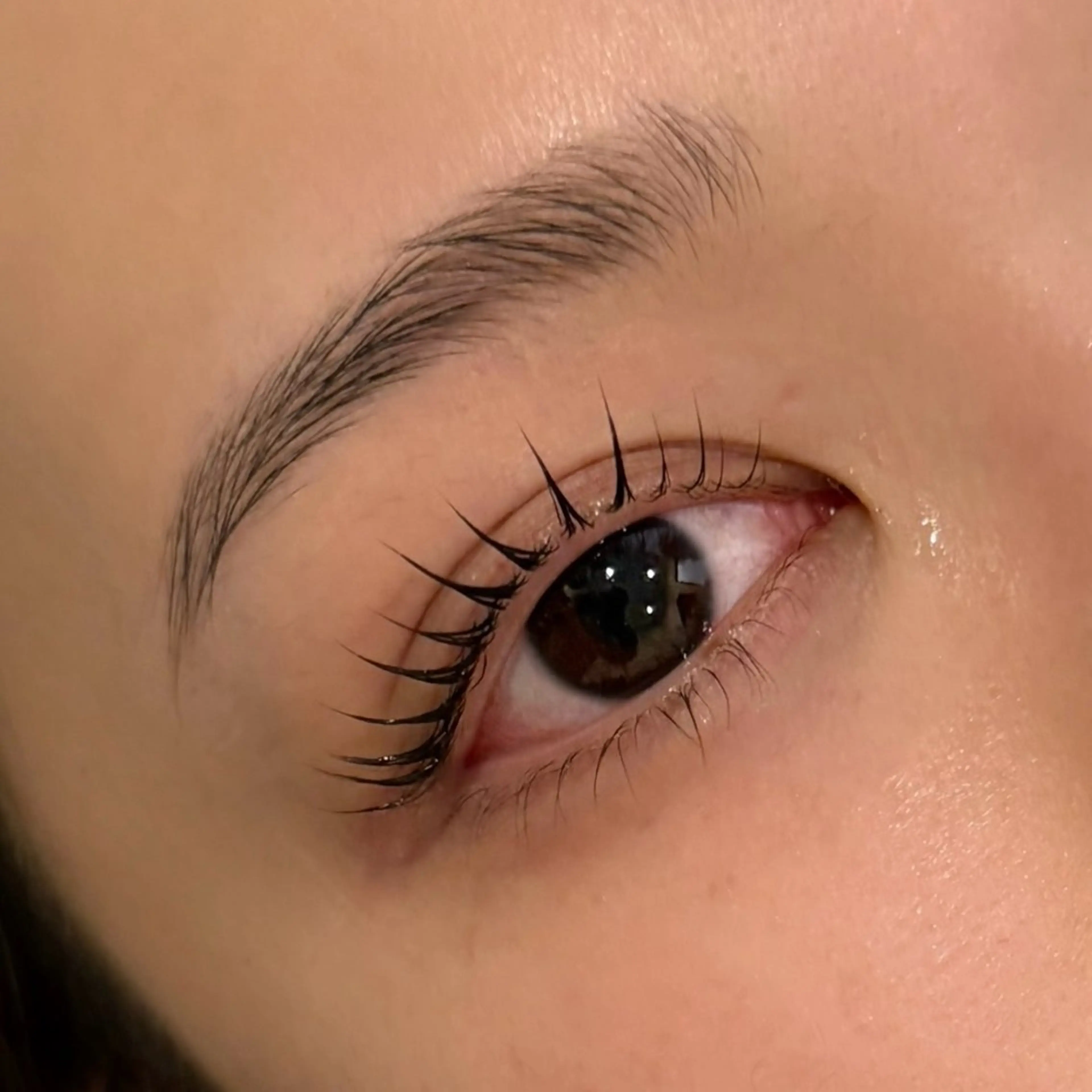 ラッシュリフト（まつ毛パーマ）の写真