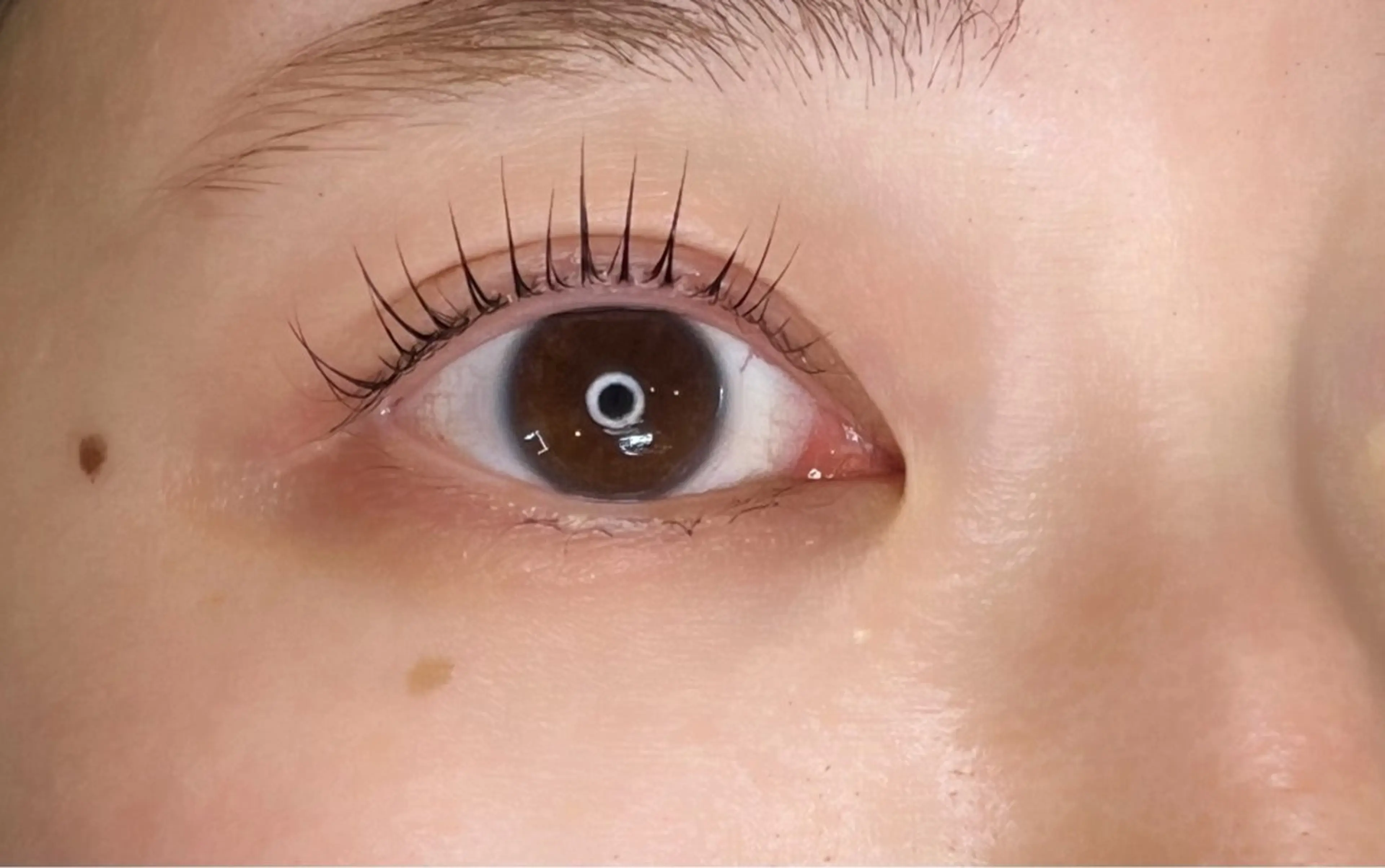 【ラッシュアディクト美容液付】次世代まつげパーマコスメリフトフルコース¥19,800→¥16,800の写真