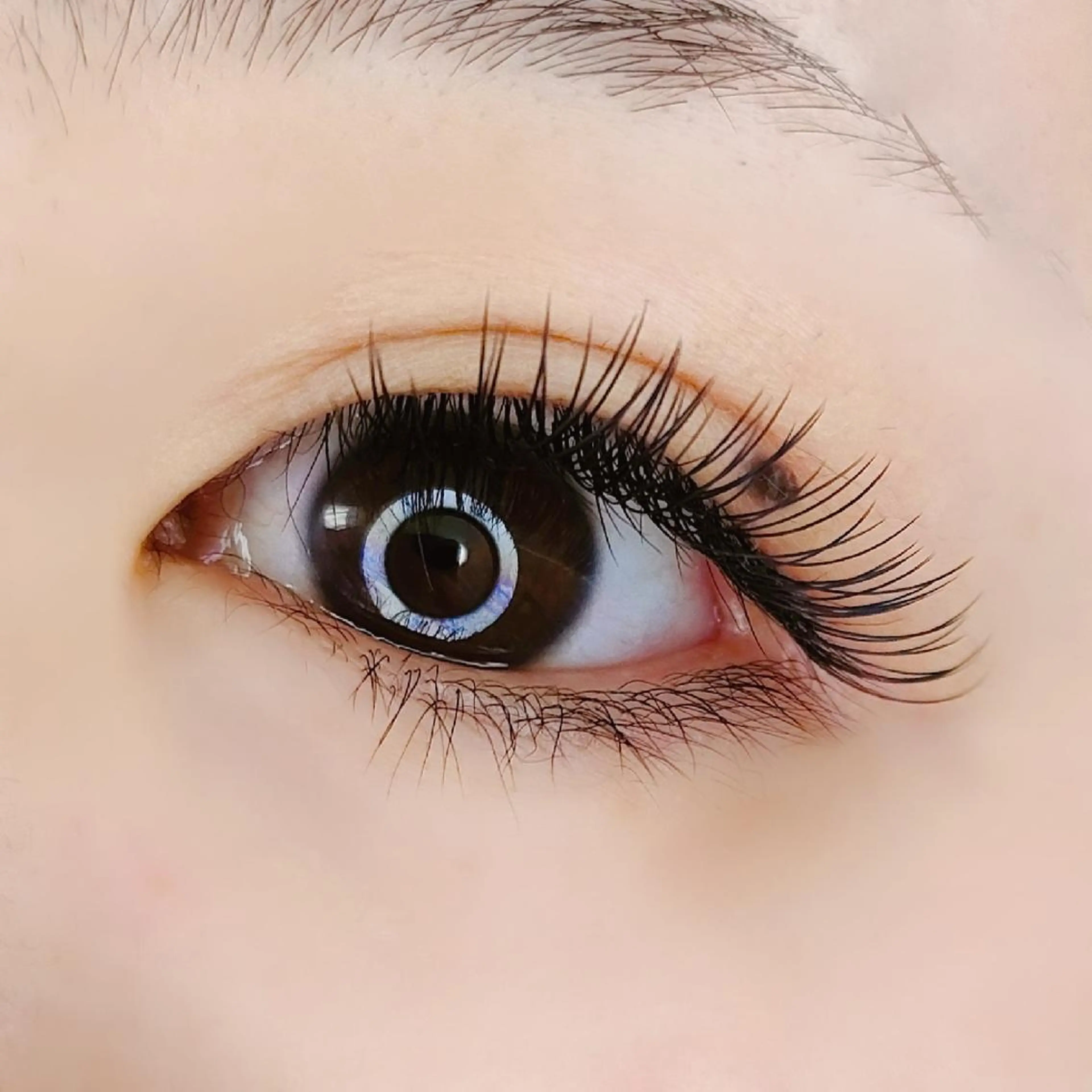 マツエク・マツパ 平山 ゆりのマツエク・マツパデザイン