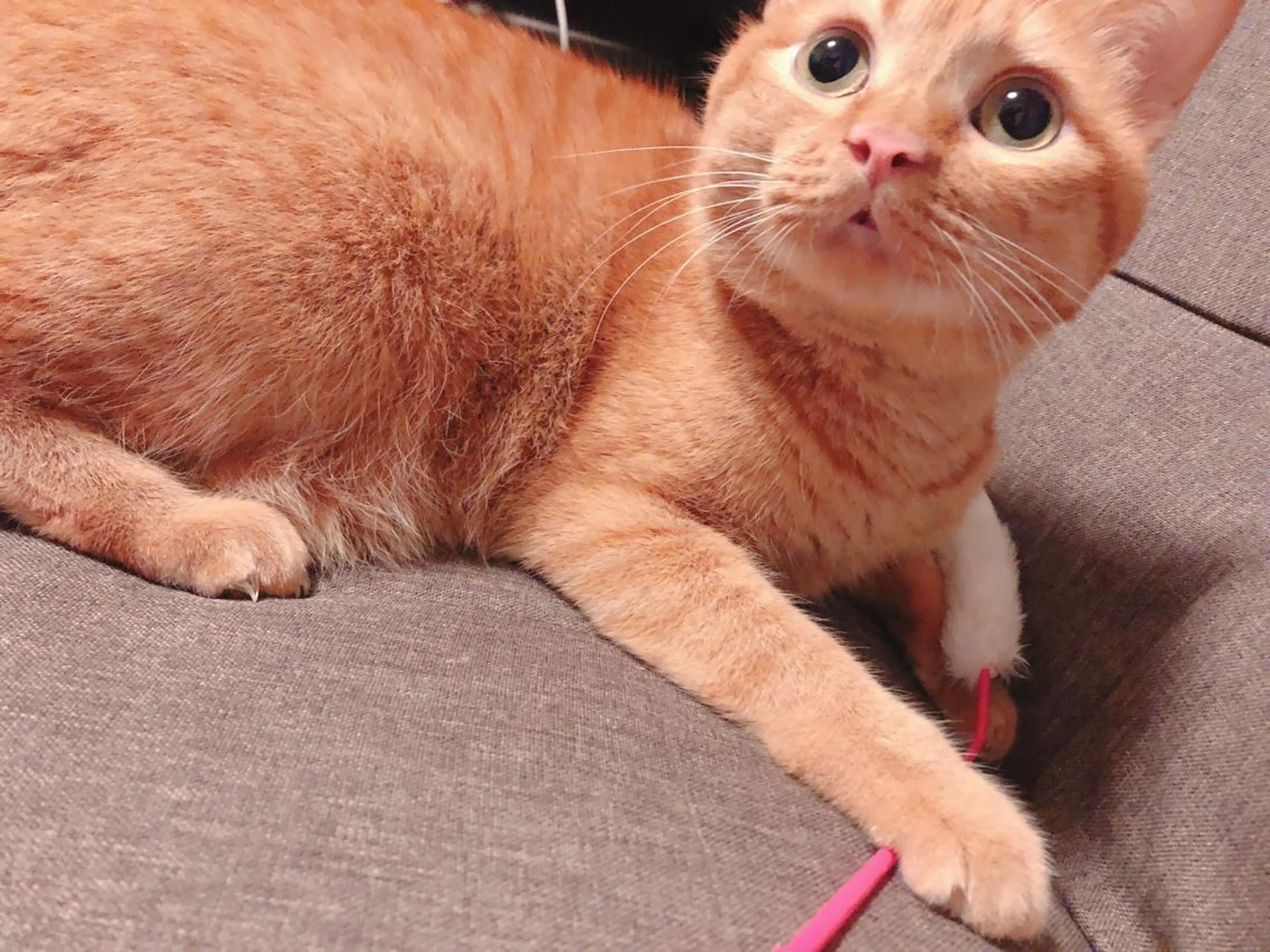 kiki nail 二子玉川のネイルデザイン