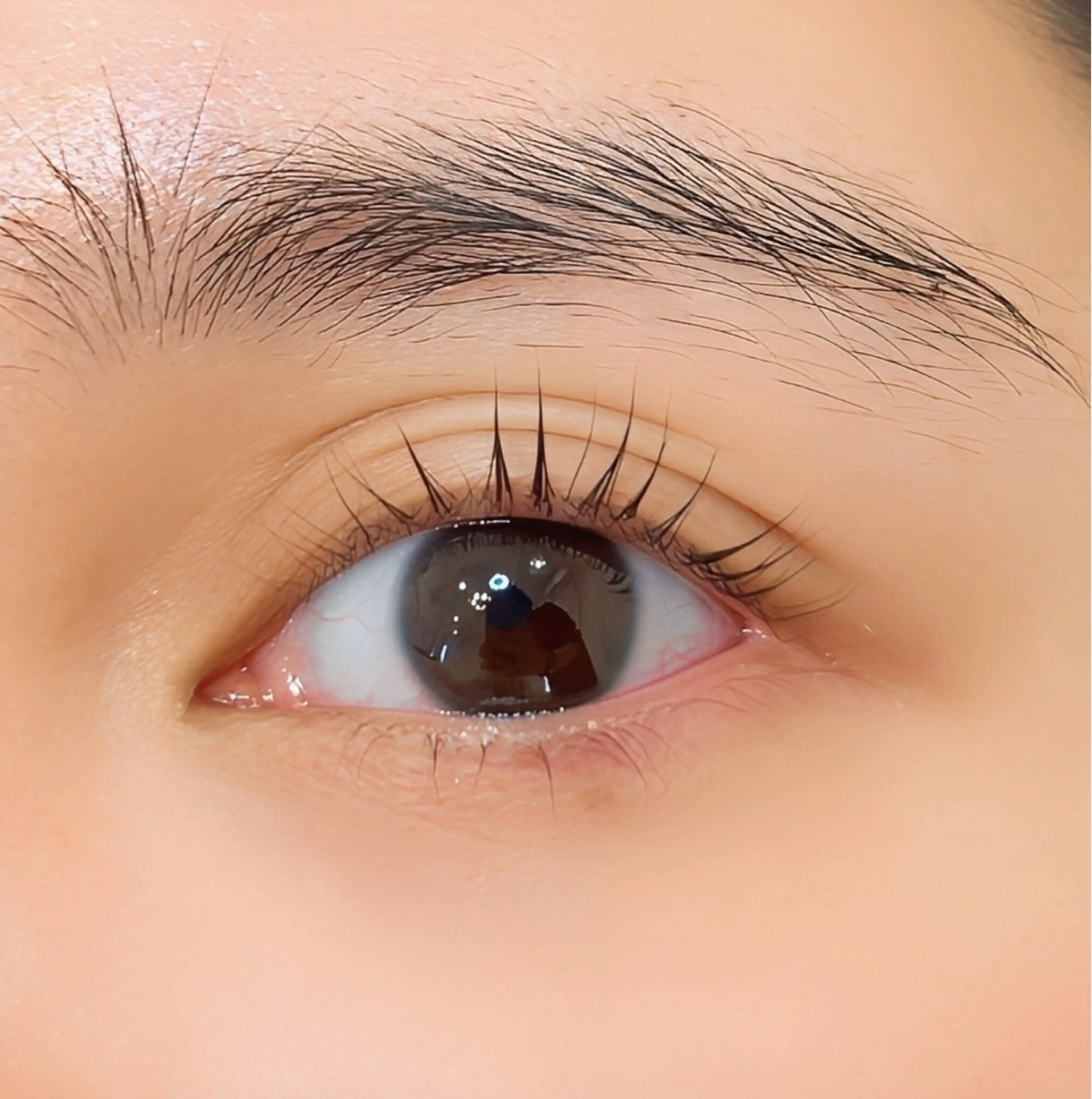 《ミニモ限定》まつげパーマ上下/アイシャンプー付/仕上げトリートメントコーティング付の写真