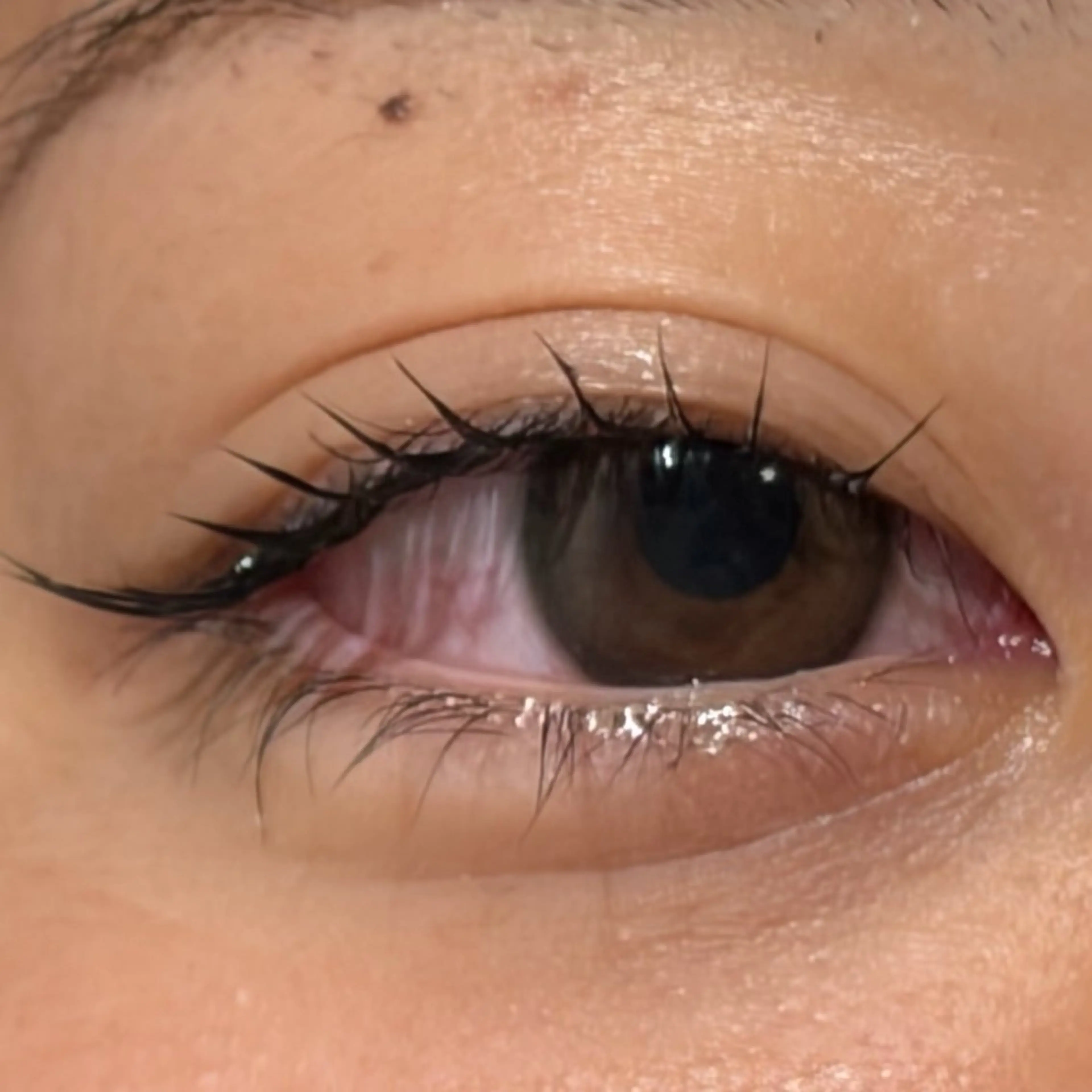 マツエク・マツパ マツパ ななみ.⋆𝜗𝜚 艶カラー/まつパのヘアスタイル