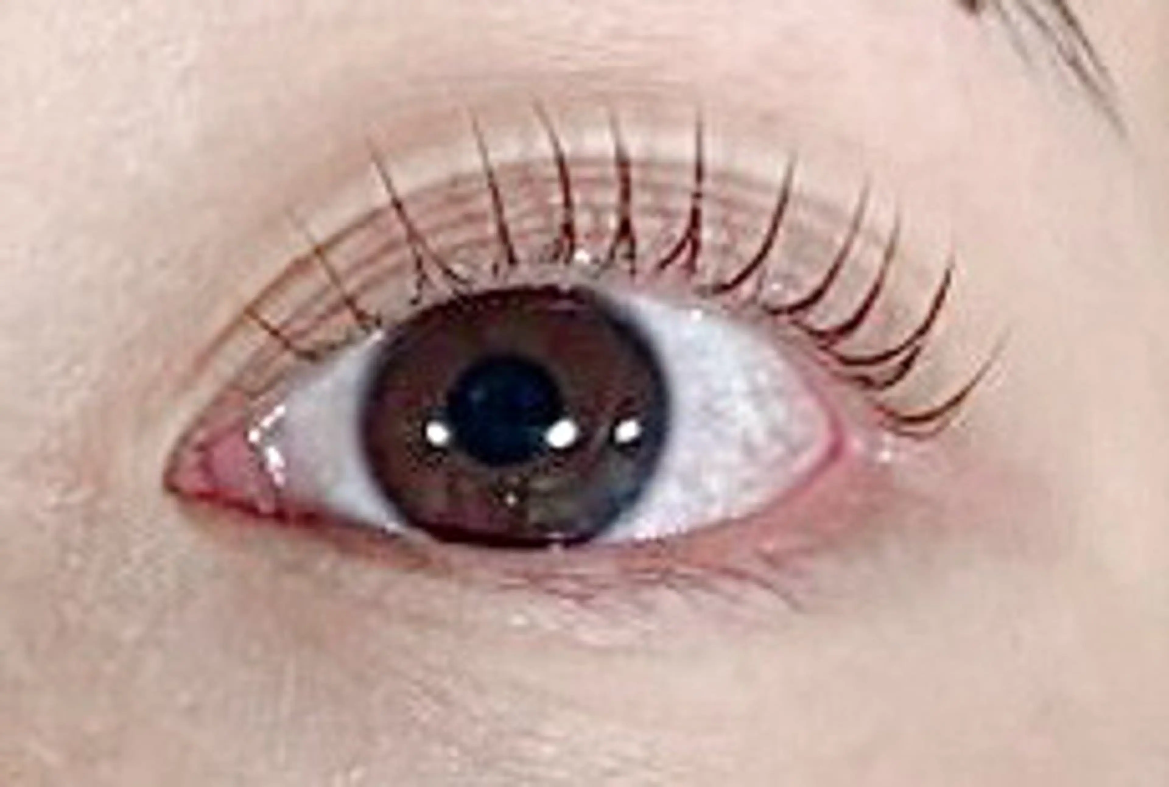 マツエク・マツパ パリジェンヌラッシュリフト by MARIE TERESIA JR三ノ宮駅前店所属・藤岡 瑞穂のマツエク・マツパデザイン