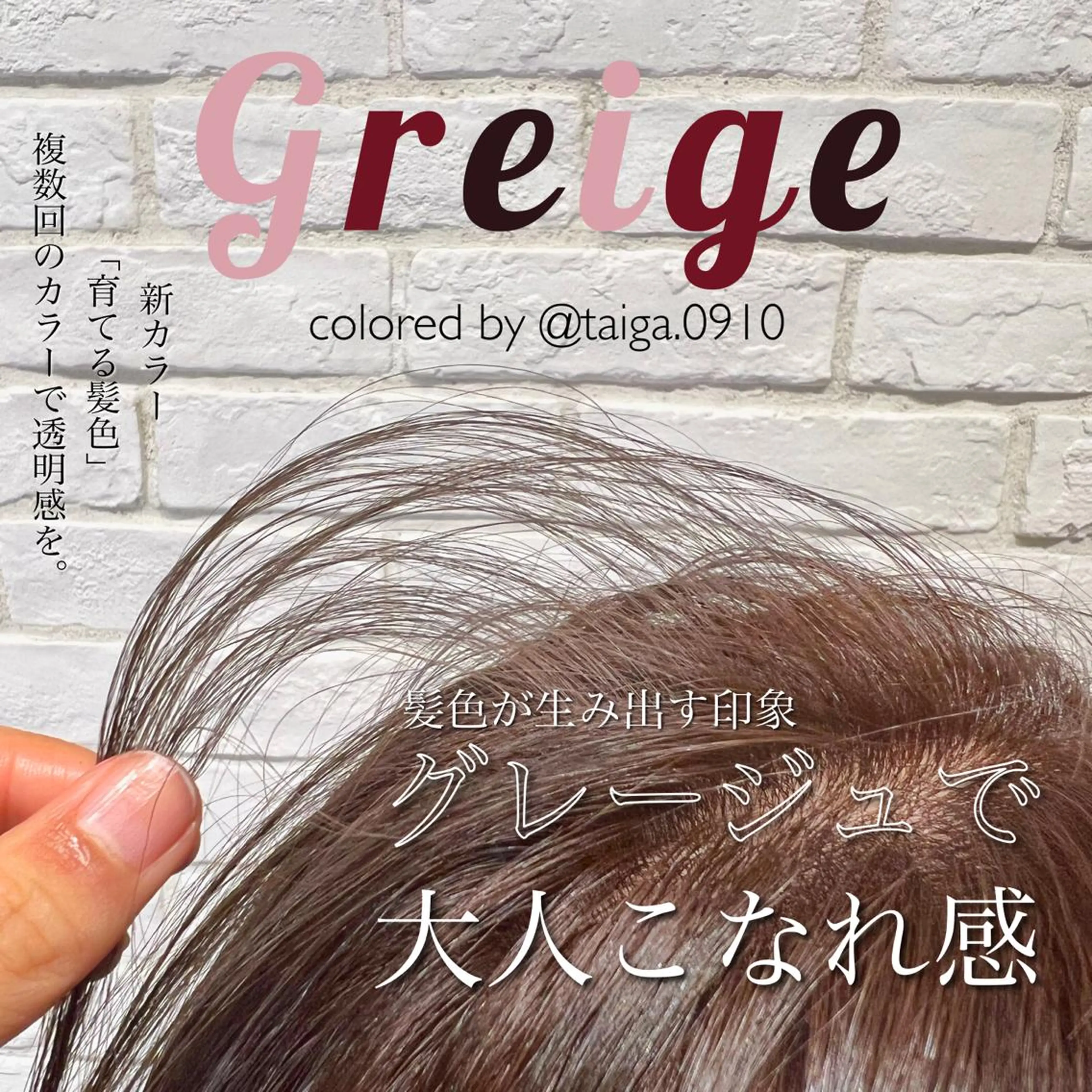 ミディアム カラー レディースヘア💫 加藤たいが🐯のヘアスタイル