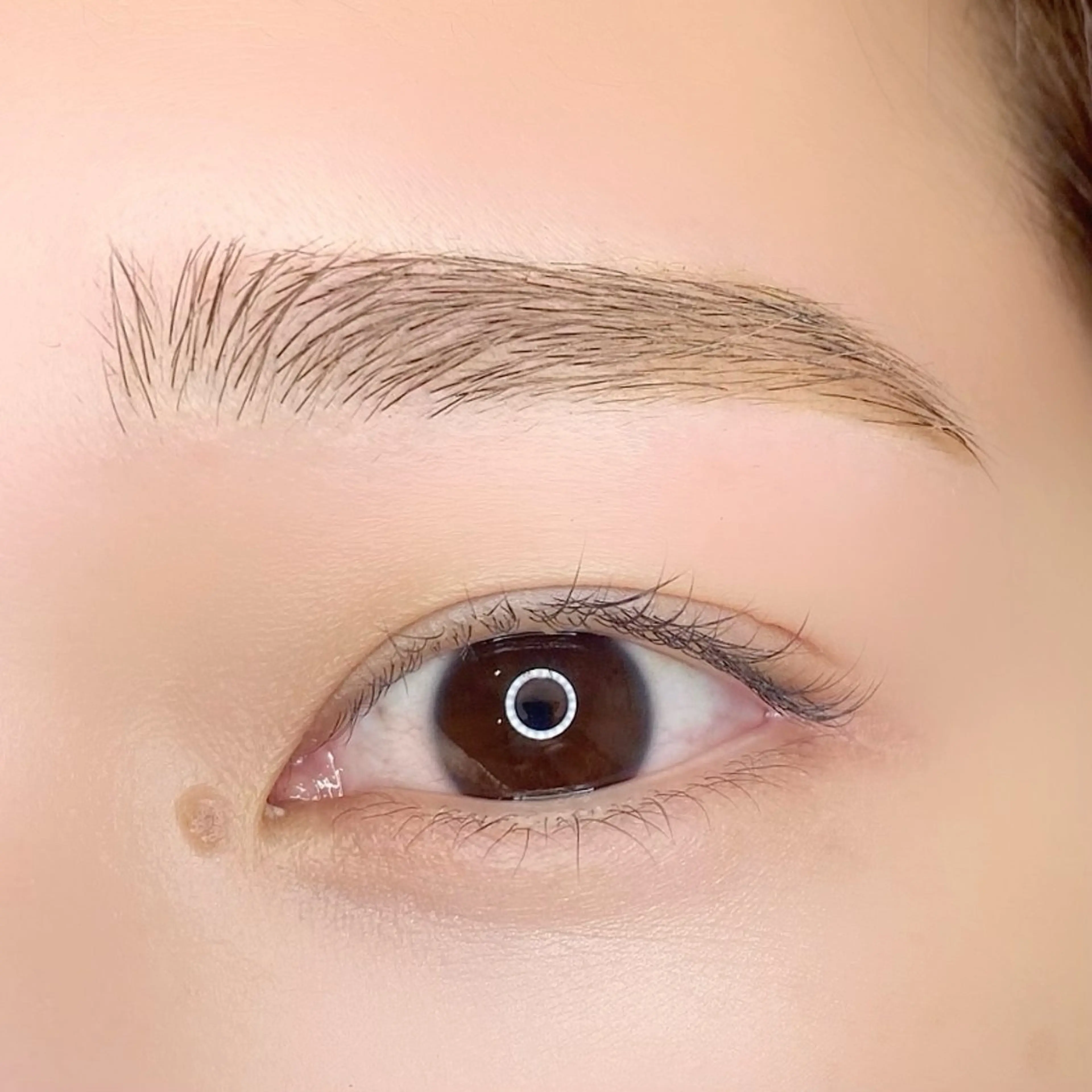 アイブロウ ワックス脱毛 眉カット その他(アイブロウ) ma'am eyesalon 錦糸町店所属・MOMI🍒美眉 スタイリング⭐︎の眉毛・アイブロウイメージ