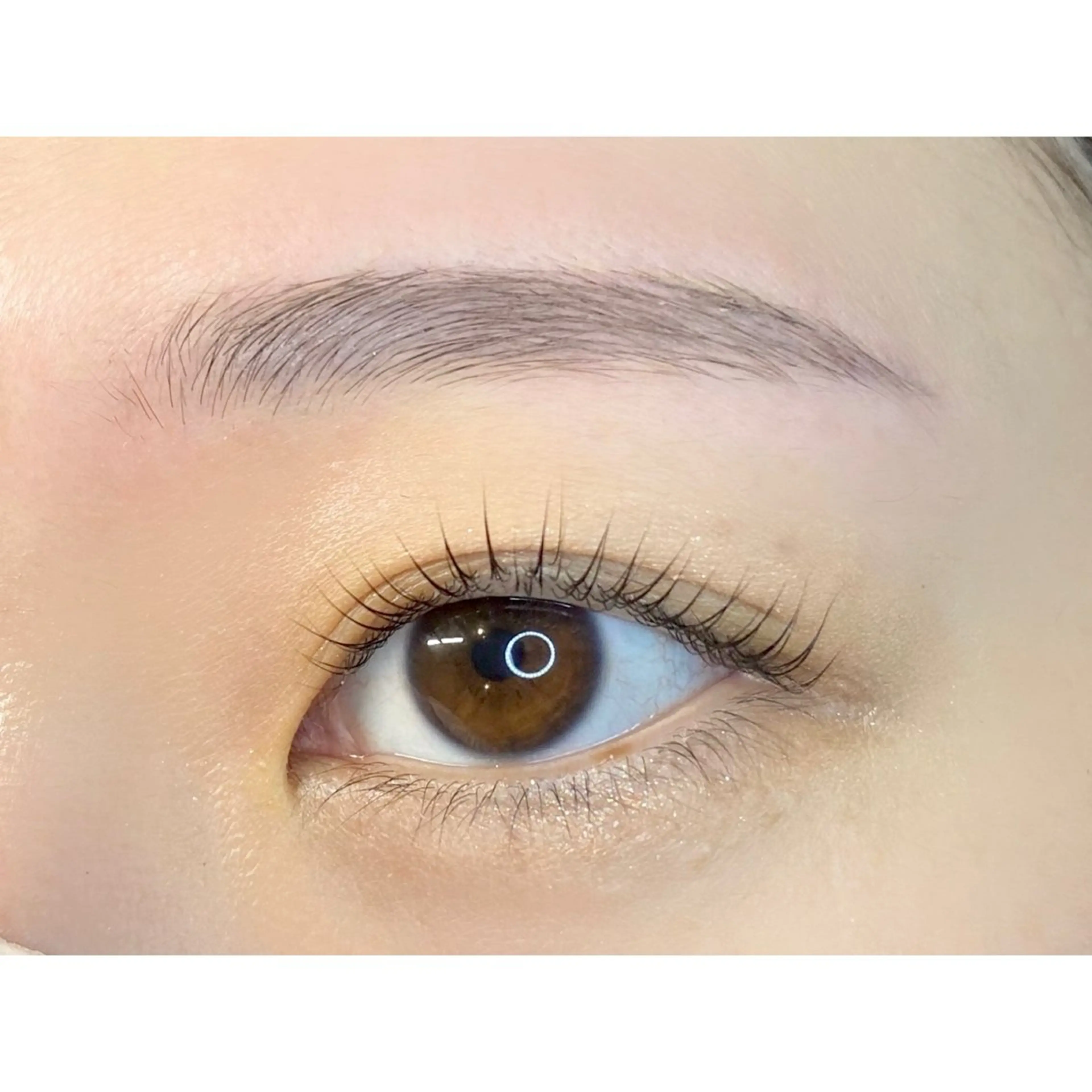 美眉スタイリング&パリジェンヌラッシュリフトSet ¥8830の写真