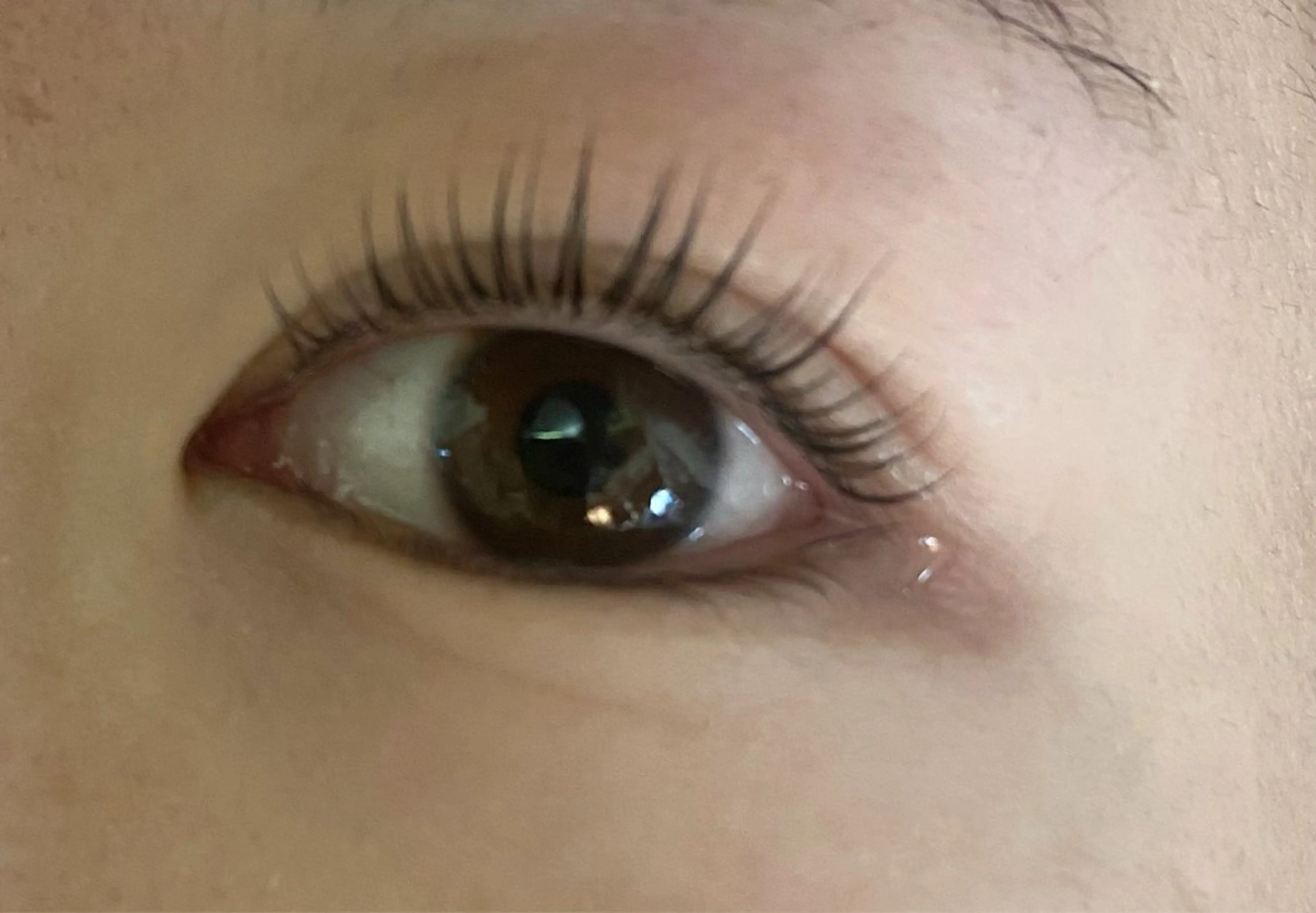 【学割】まつ毛パーマ♪※学生証の提示お願いします★の写真