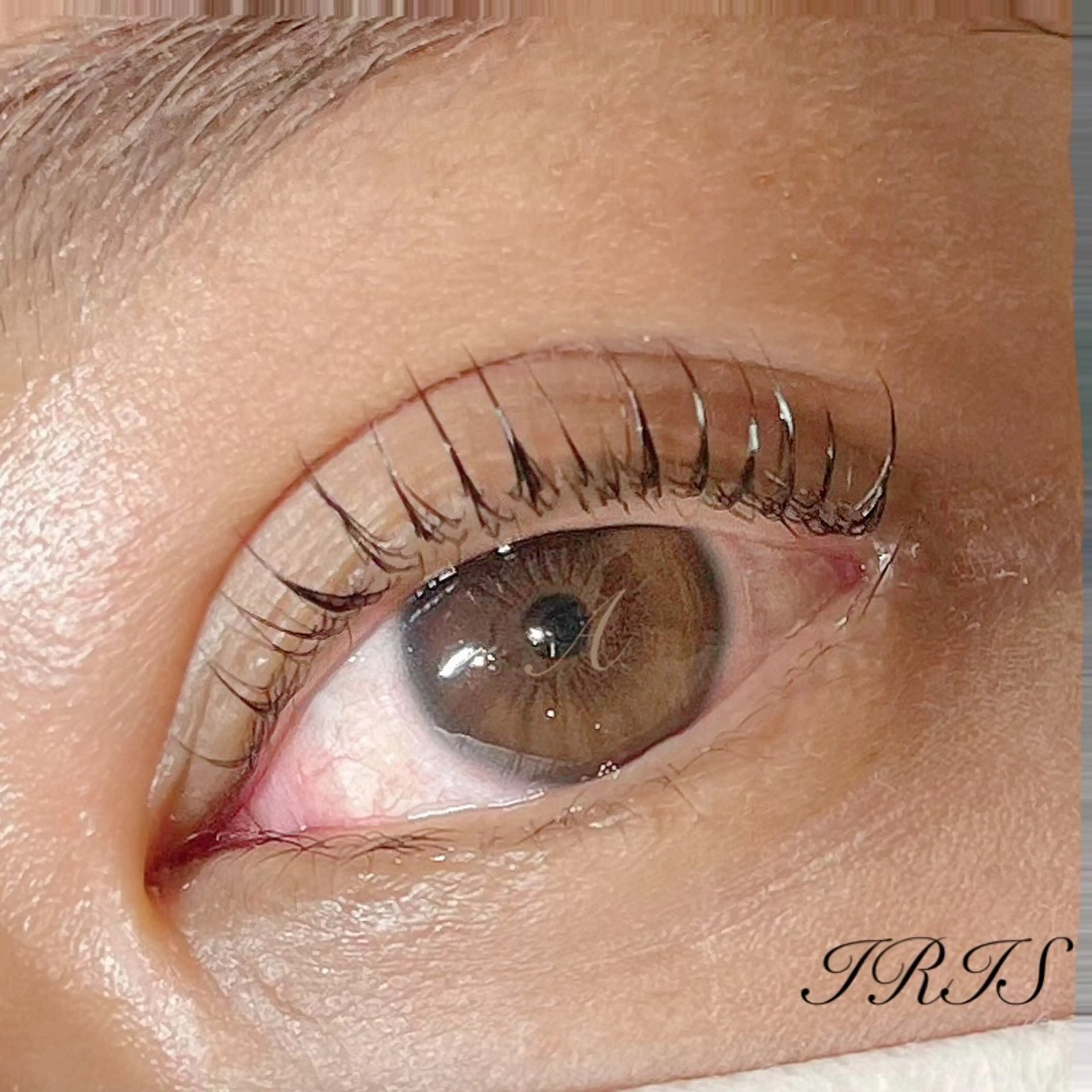 マツエク・マツパ 一重×まつ毛パーマ マツパ IRIS🫧 Ayaのマツエク・マツパデザイン