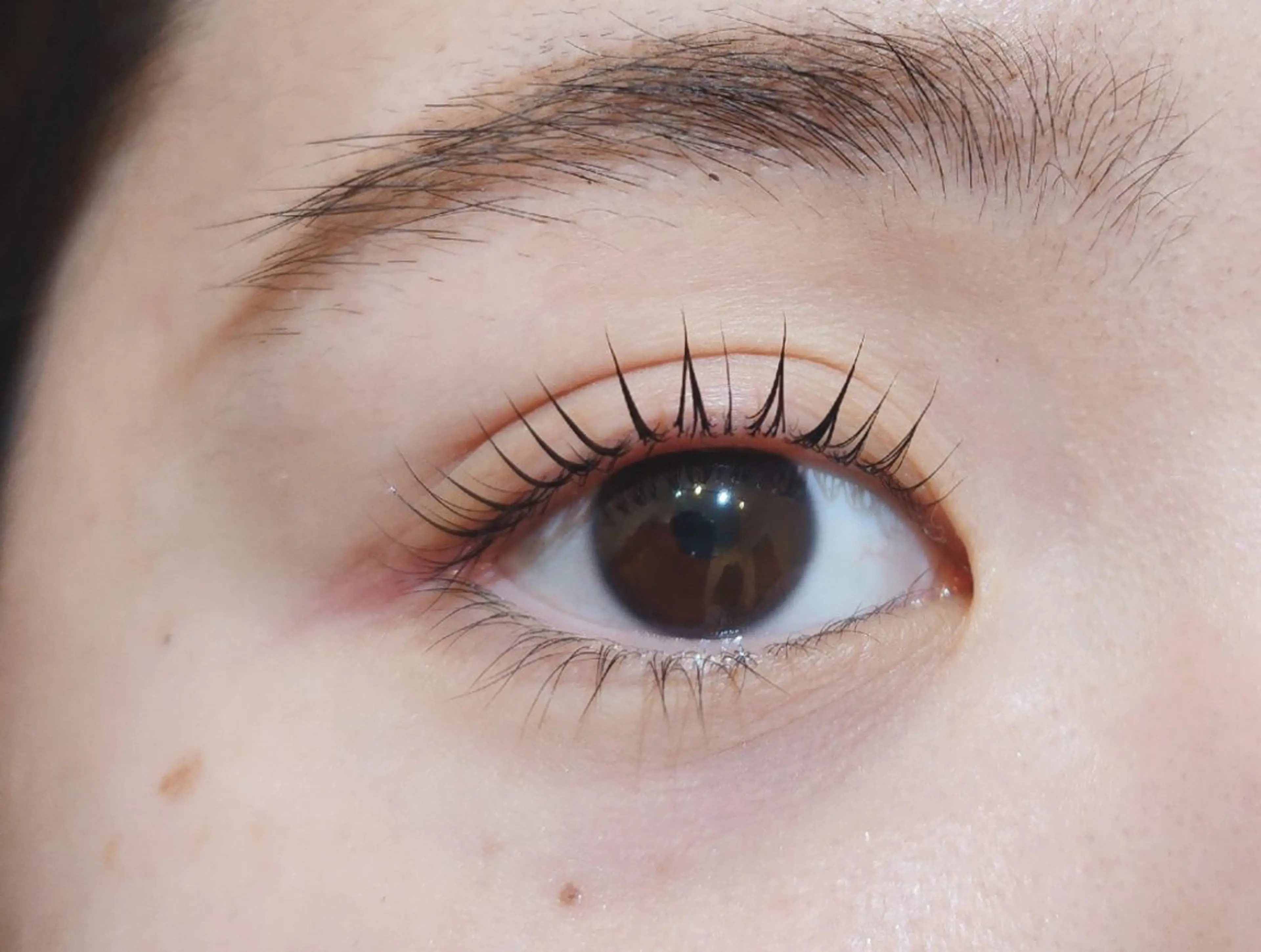 マツエク・マツパ まつげパーマ マツパ 💜bora .のネイルデザイン