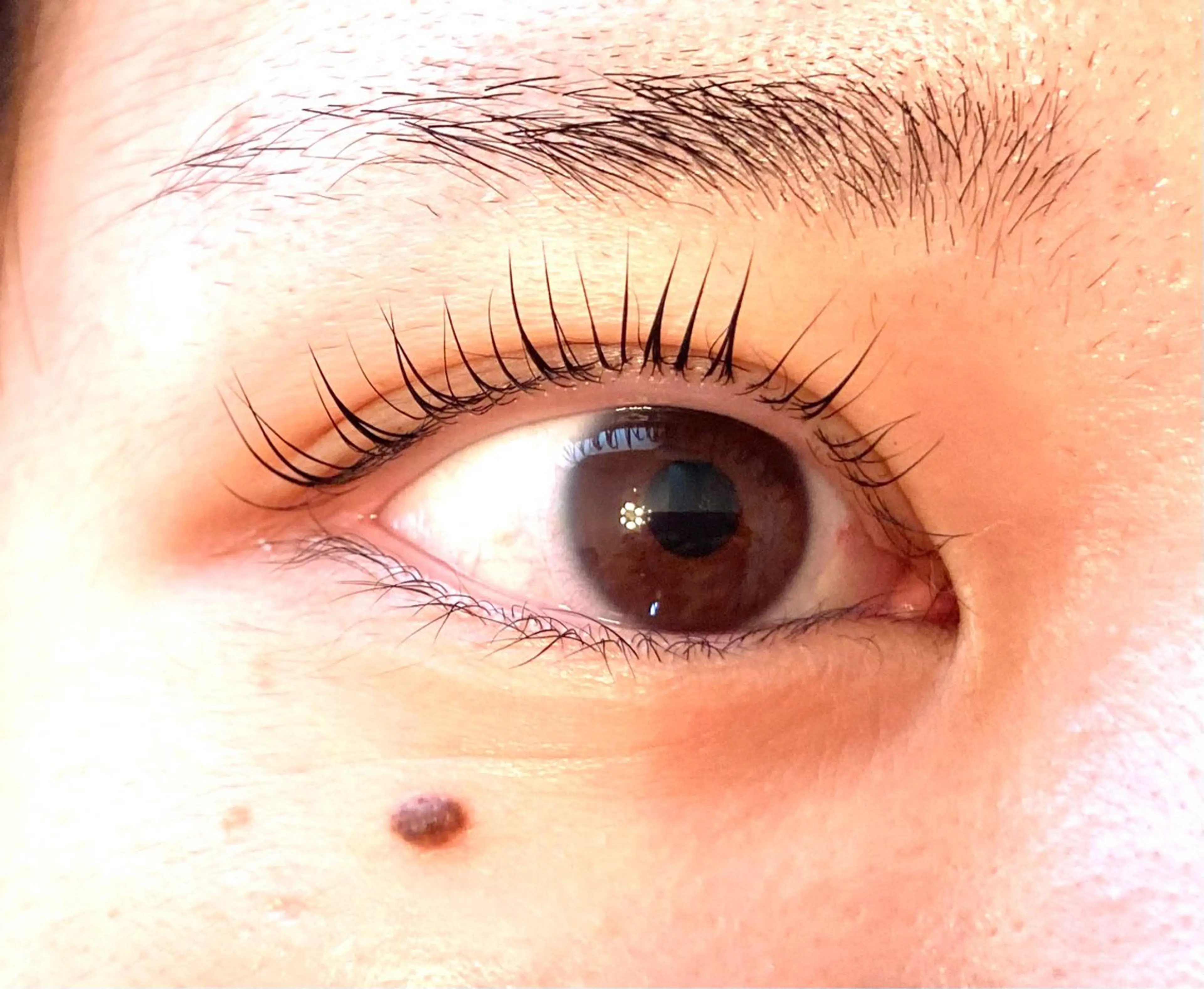 マツエク・マツパ himawari Leiのマツエク・マツパデザイン