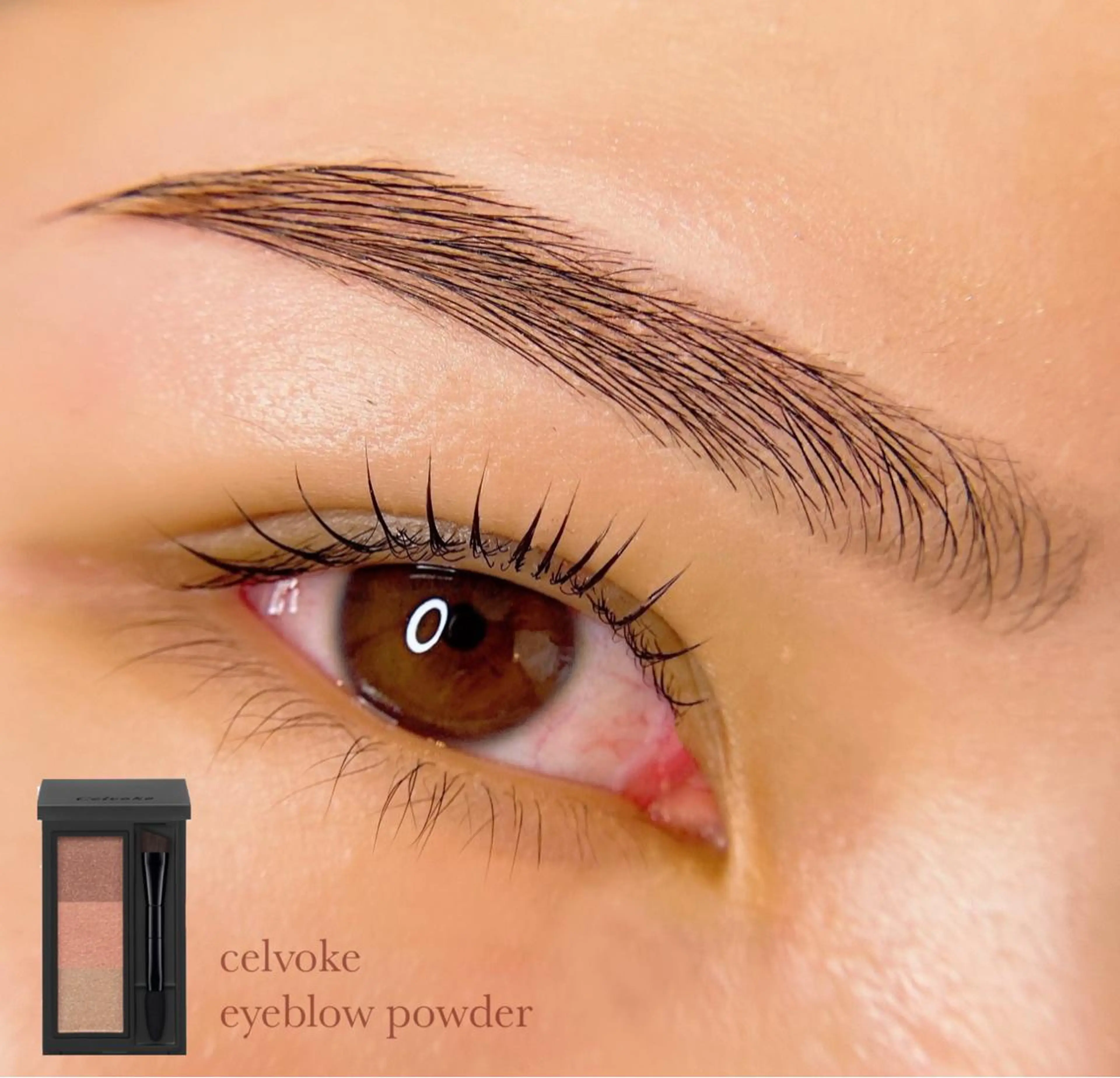 アイブロウ alchemy workzの眉毛・アイブロウイメージ