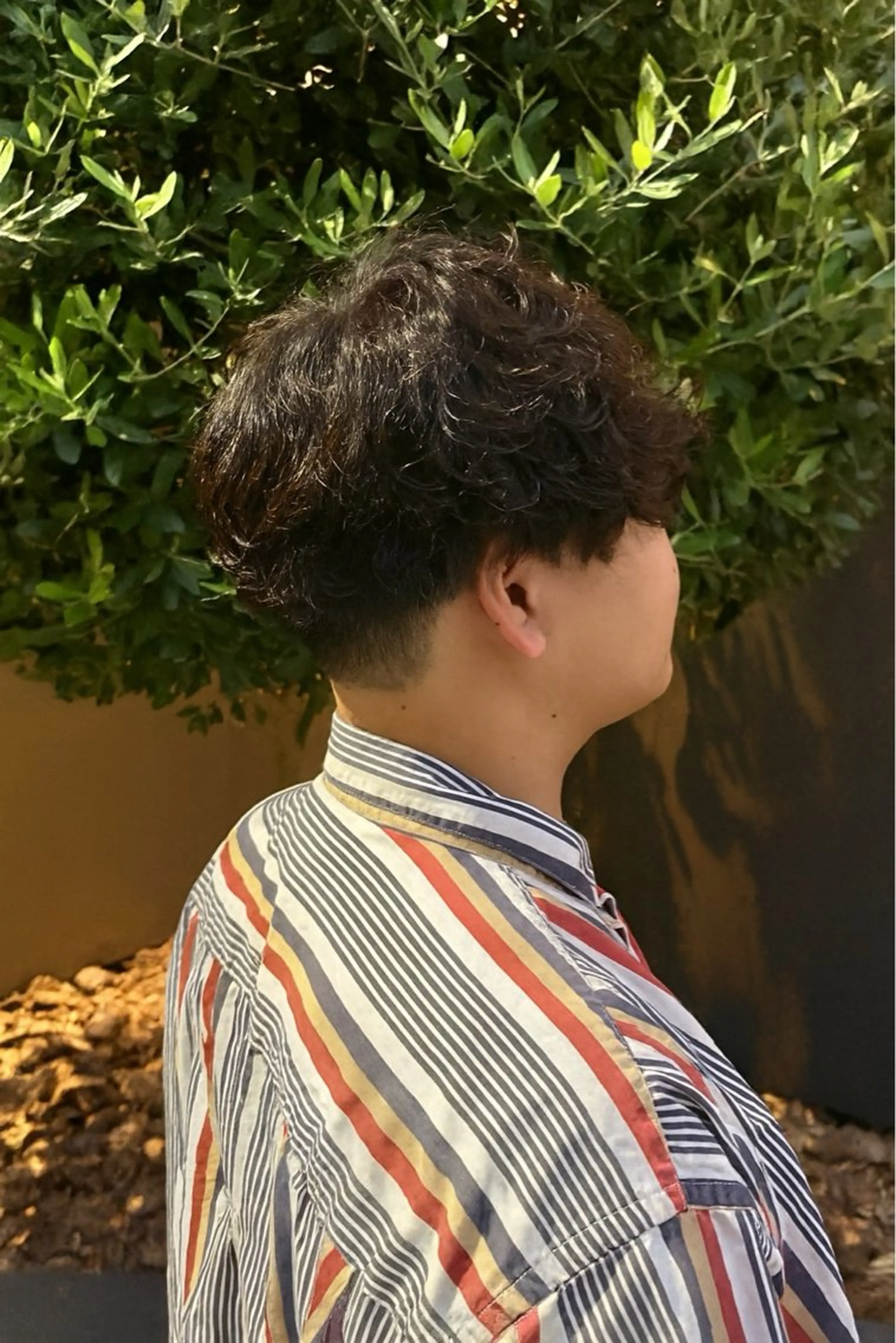 メンズデザインパーマの写真