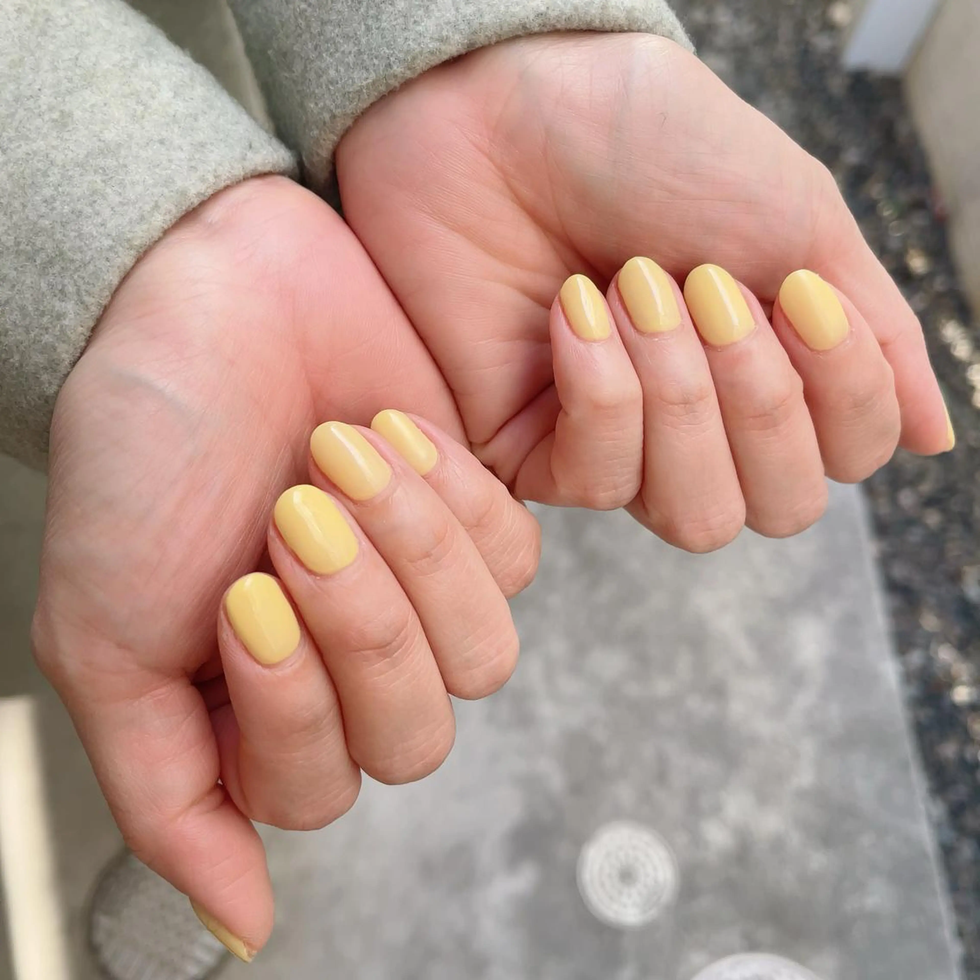 ワンカラー　【オフありなしどちらでも】の写真