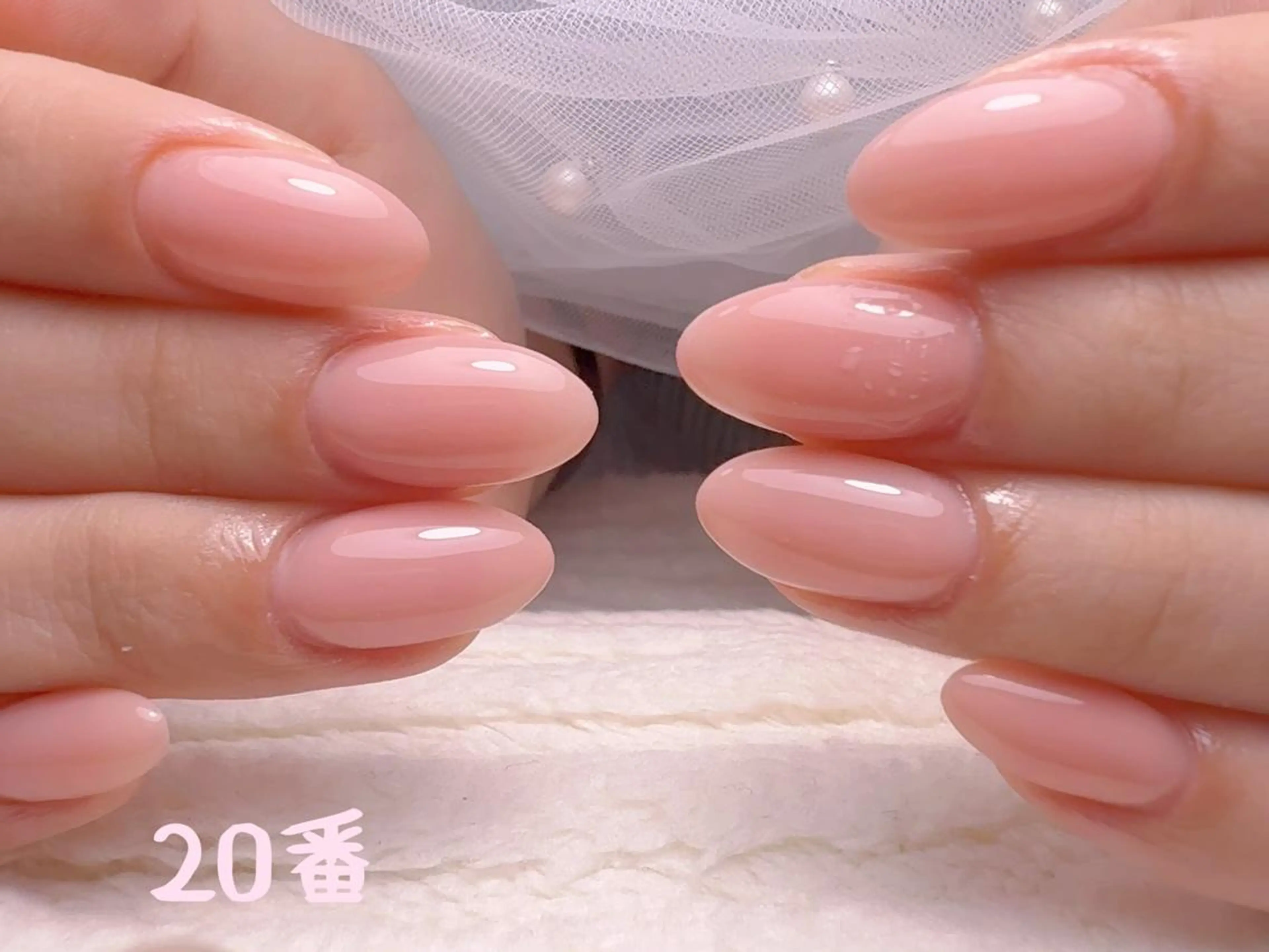ネイル ワンカラーネイル ネイルチップ ハンドネイル cat‘s nail🐈⬛のネイルデザイン