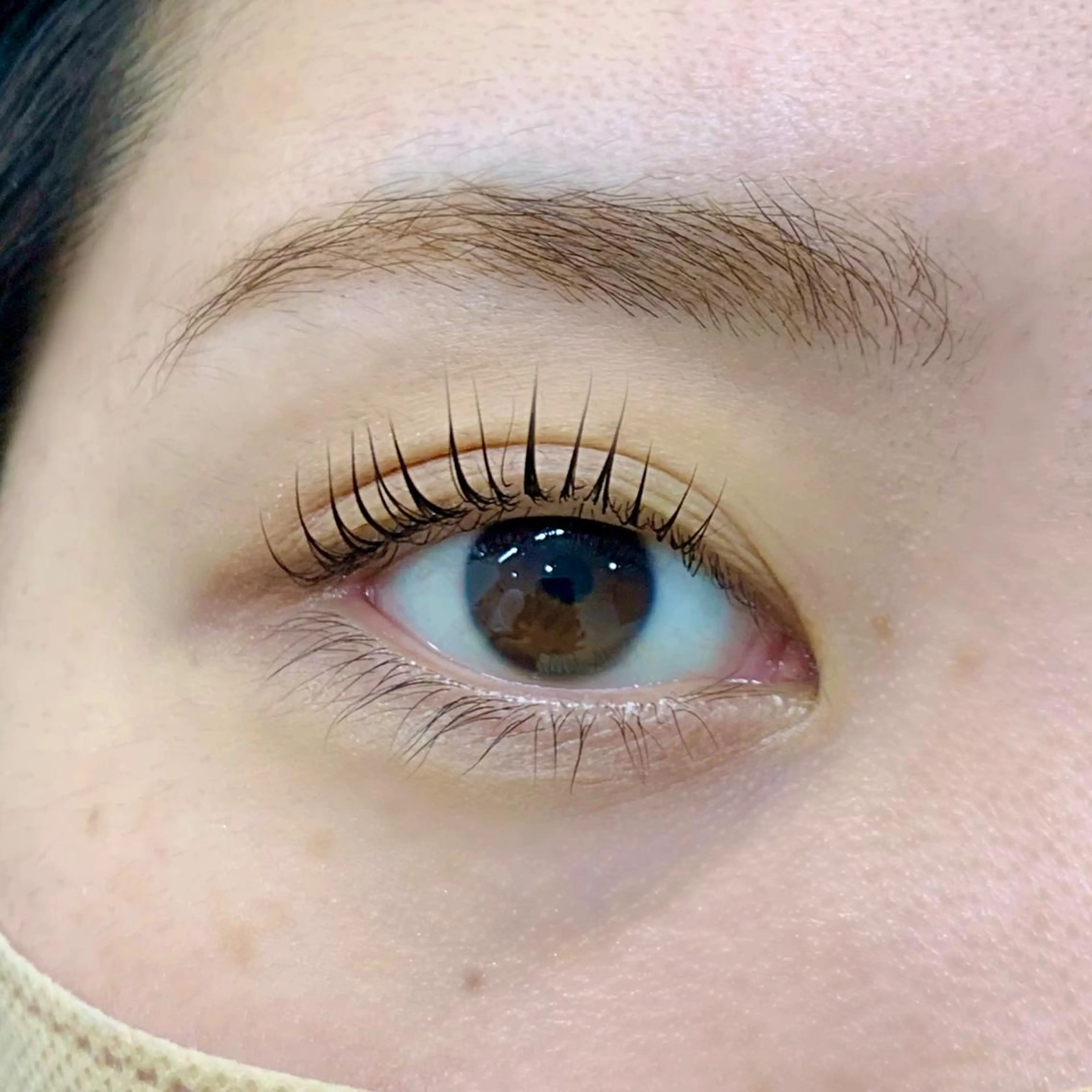 マツエク・マツパ パリジェンヌラッシュリフト 🌸Alba🌸 勅使川原のマツエク・マツパデザイン