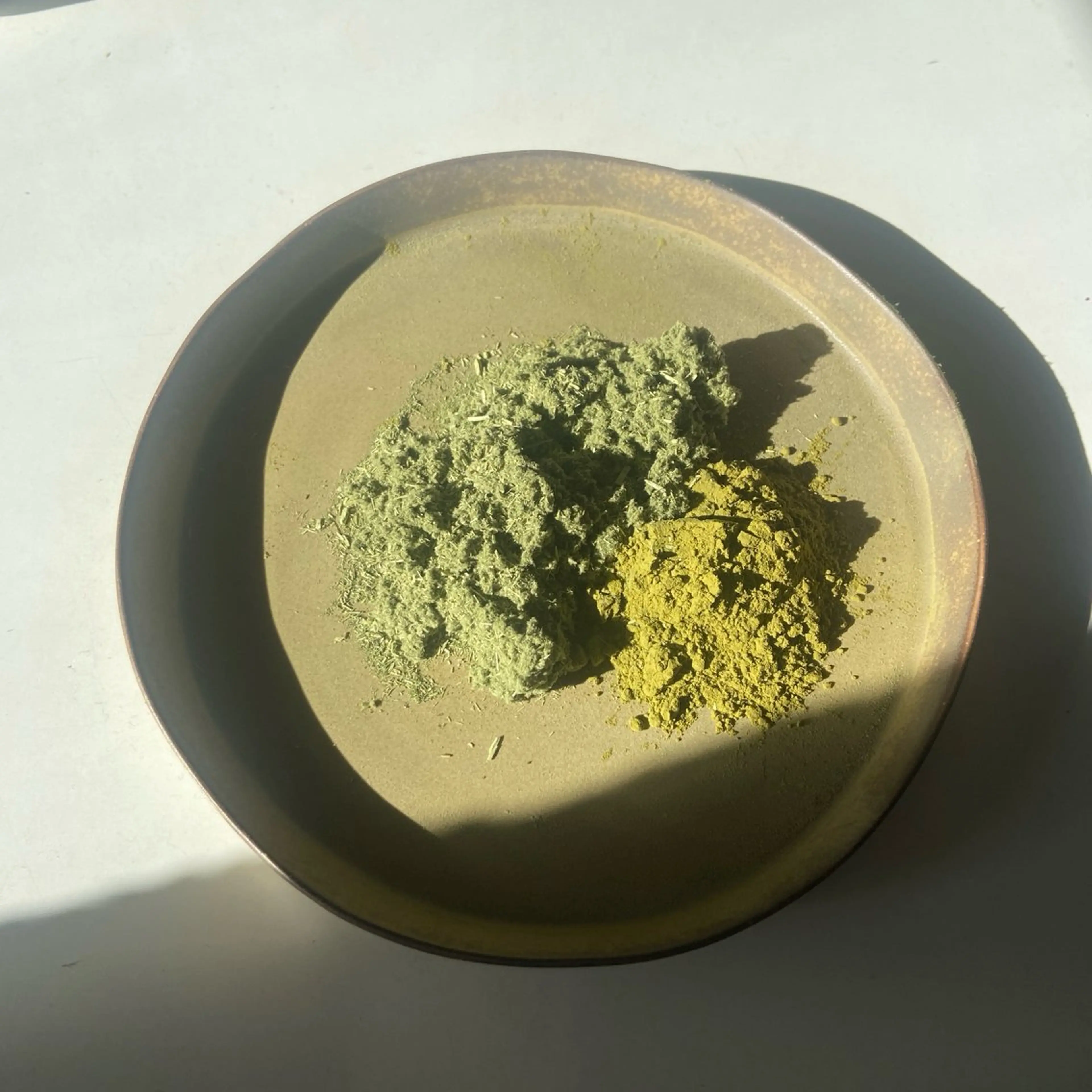 モリンガ蒸し　40分　¥4000の写真