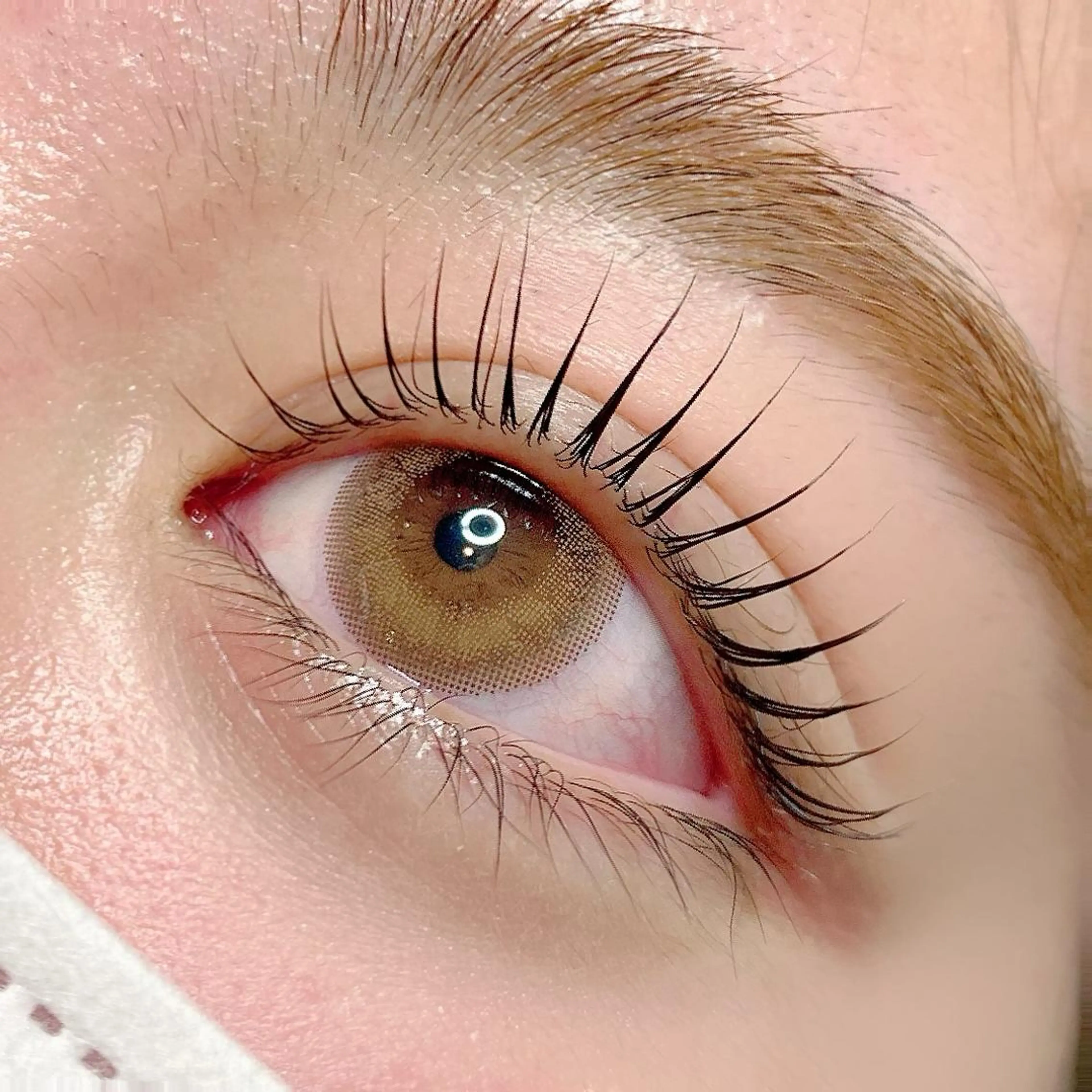 マツエク・マツパ まつげパーマ AYLASH石川 韓国風/カラエクのマツエク・マツパデザイン