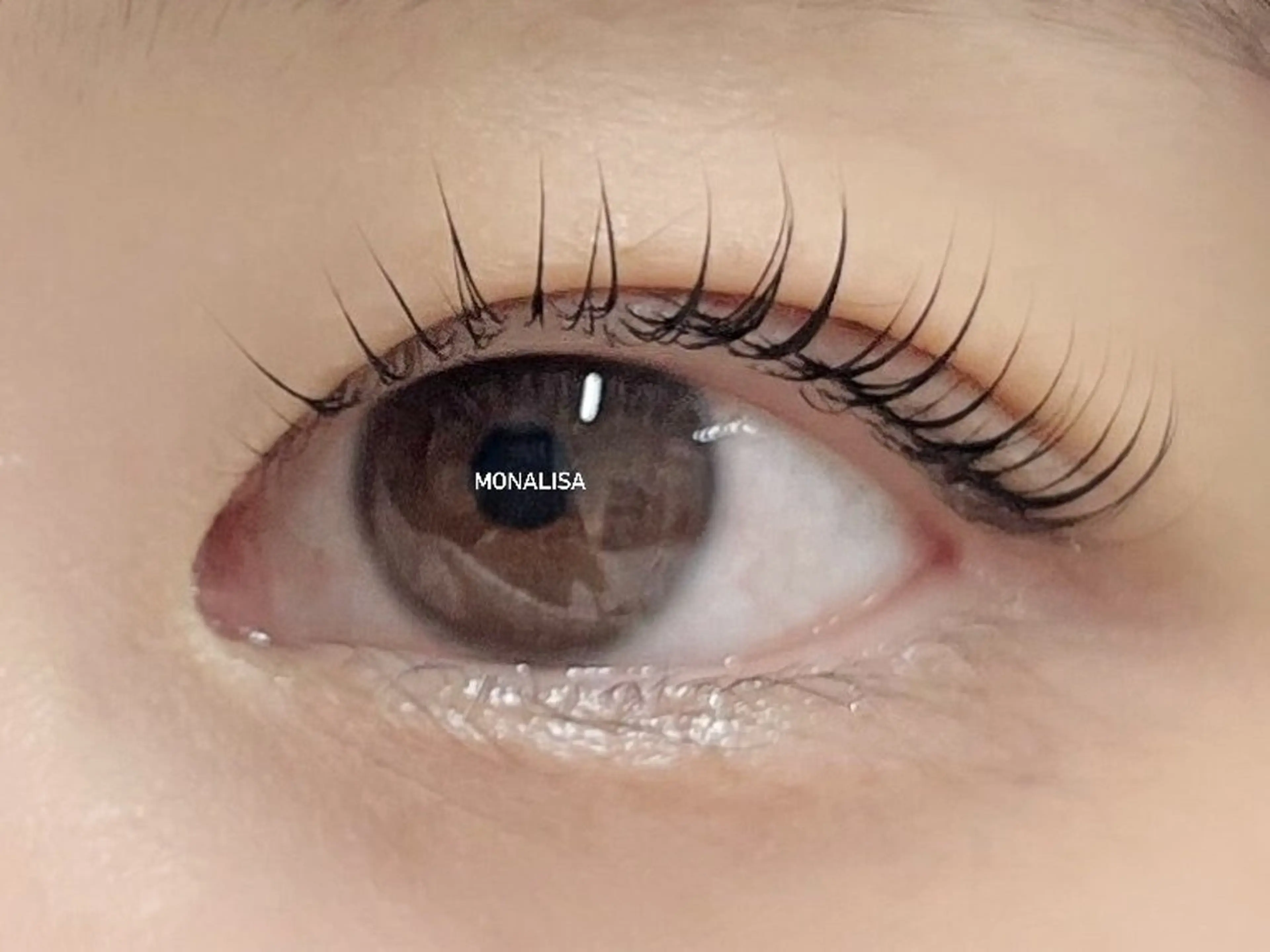 【ご新規の方限定✨】一番人気✩.*˚まつげパーマ+コーティング付¥5160→¥4000　(60分）の写真