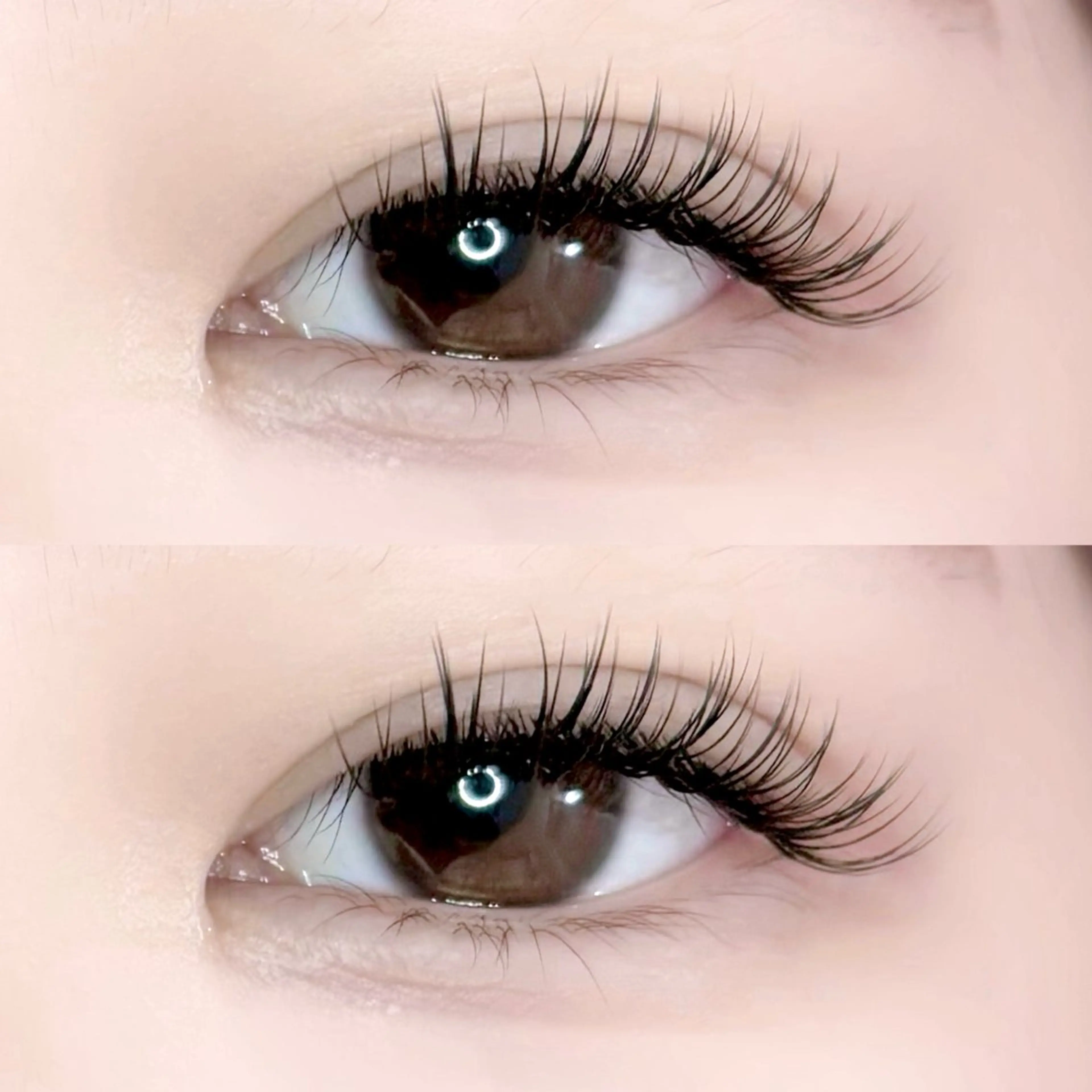 ナチュラルバインドロック80束🌟オフ550円、LED変更1100円🙆🏻の写真