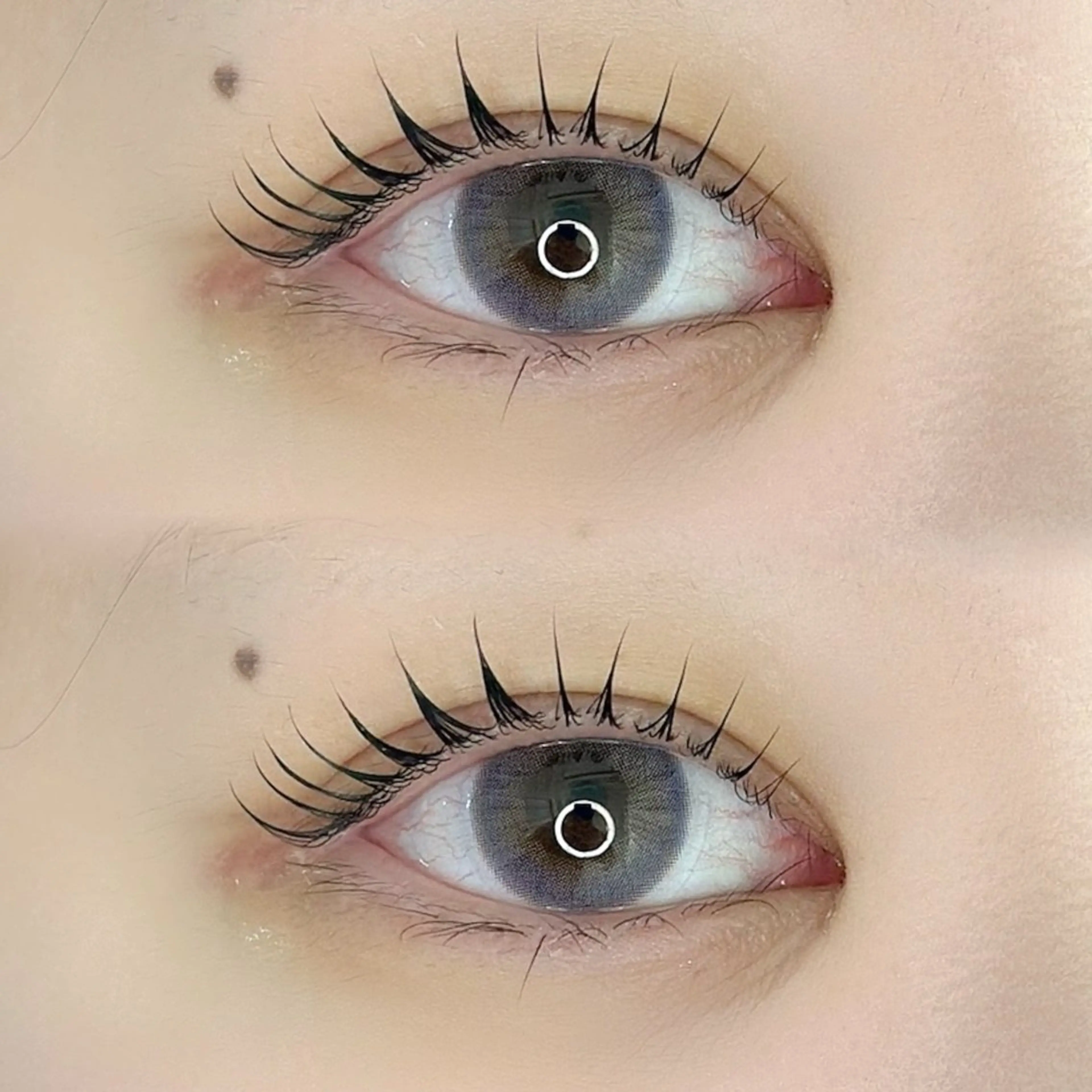 まつ毛パーマ or パリジェンヌラッシュリフトの写真