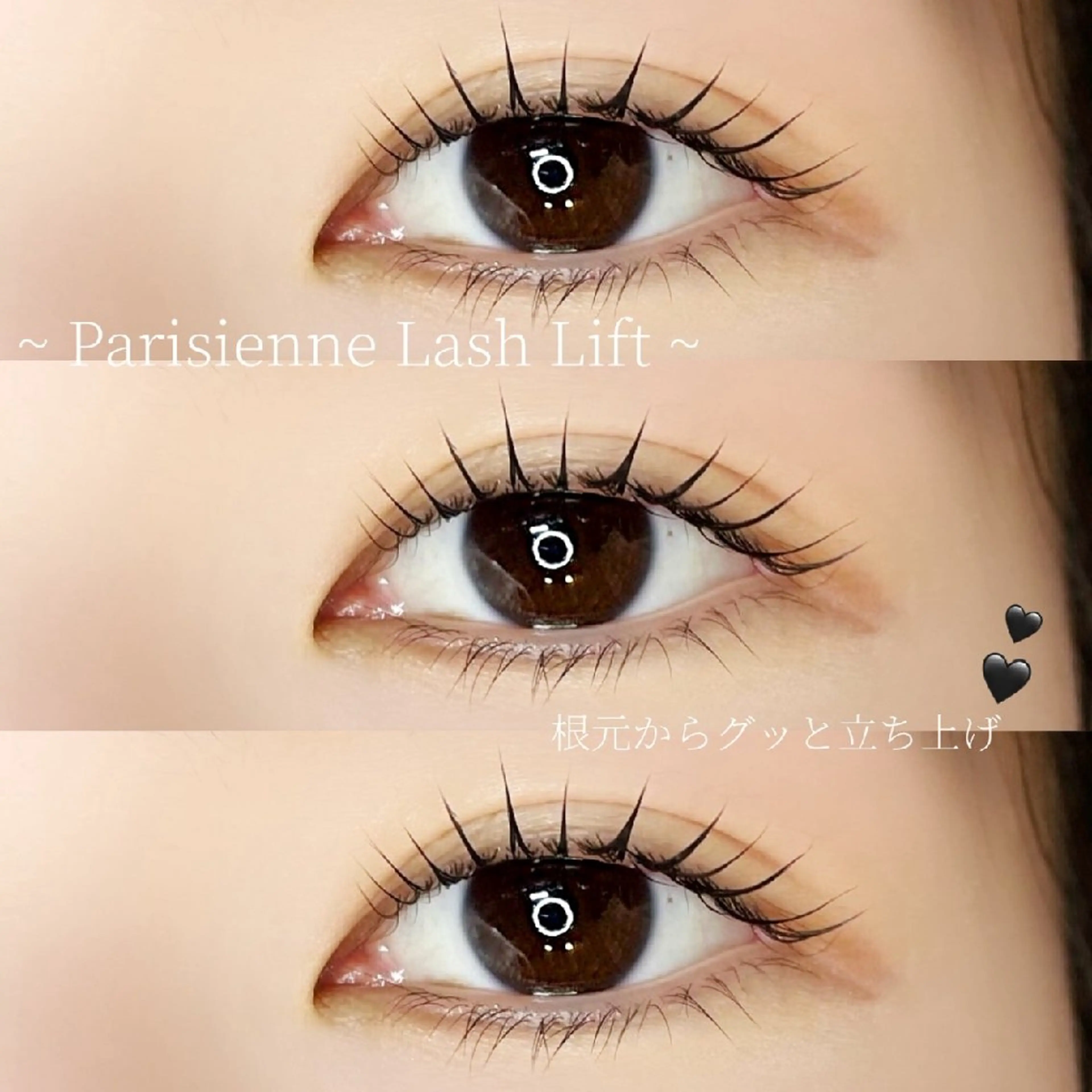 マツエク・マツパ パリジェンヌラッシュリフト ワイズビューティー　 高槻eyelashのマツエク・マツパデザイン