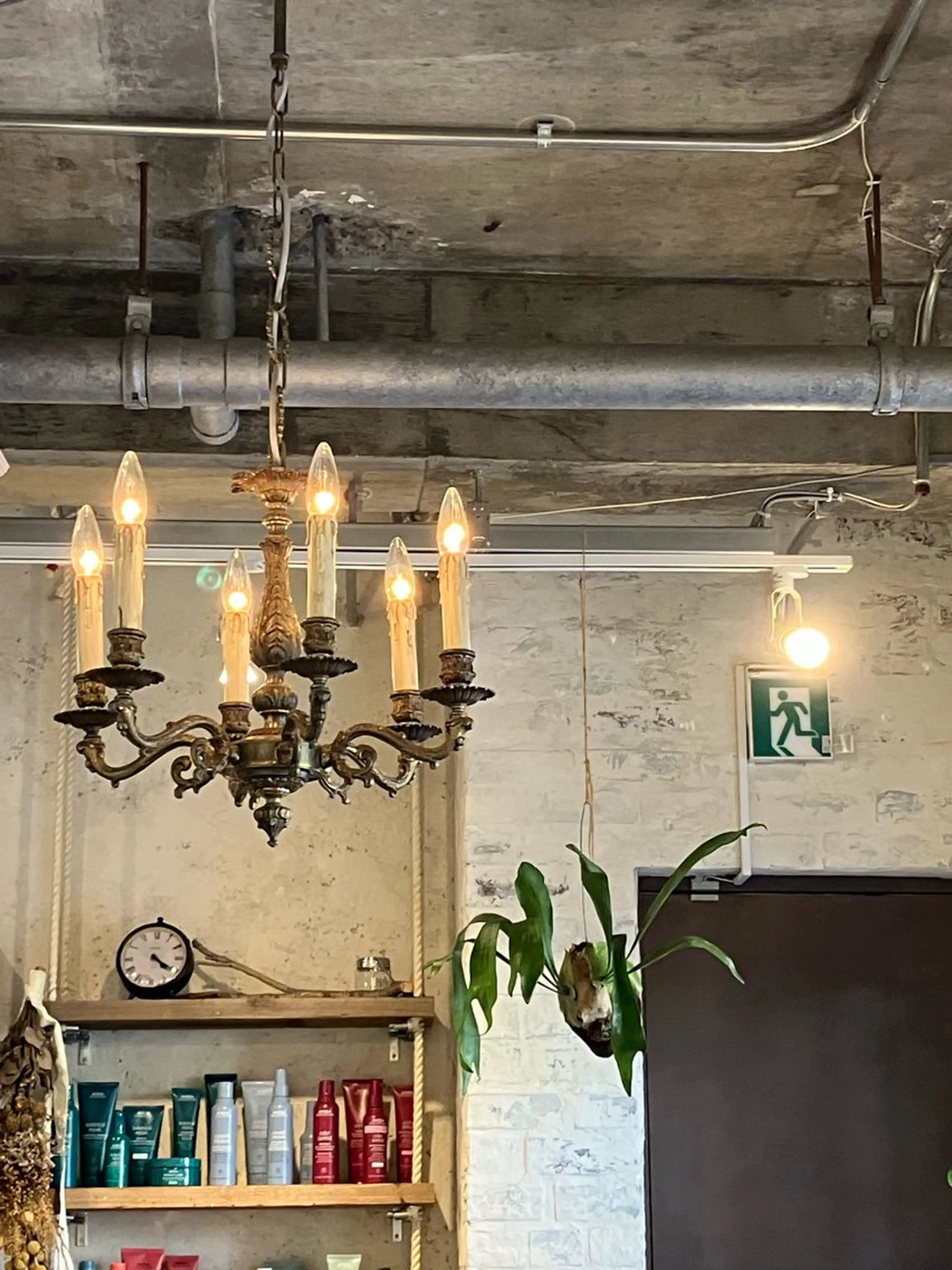 riff design labo -bio-所属・江川 千菜のヘアスタイル