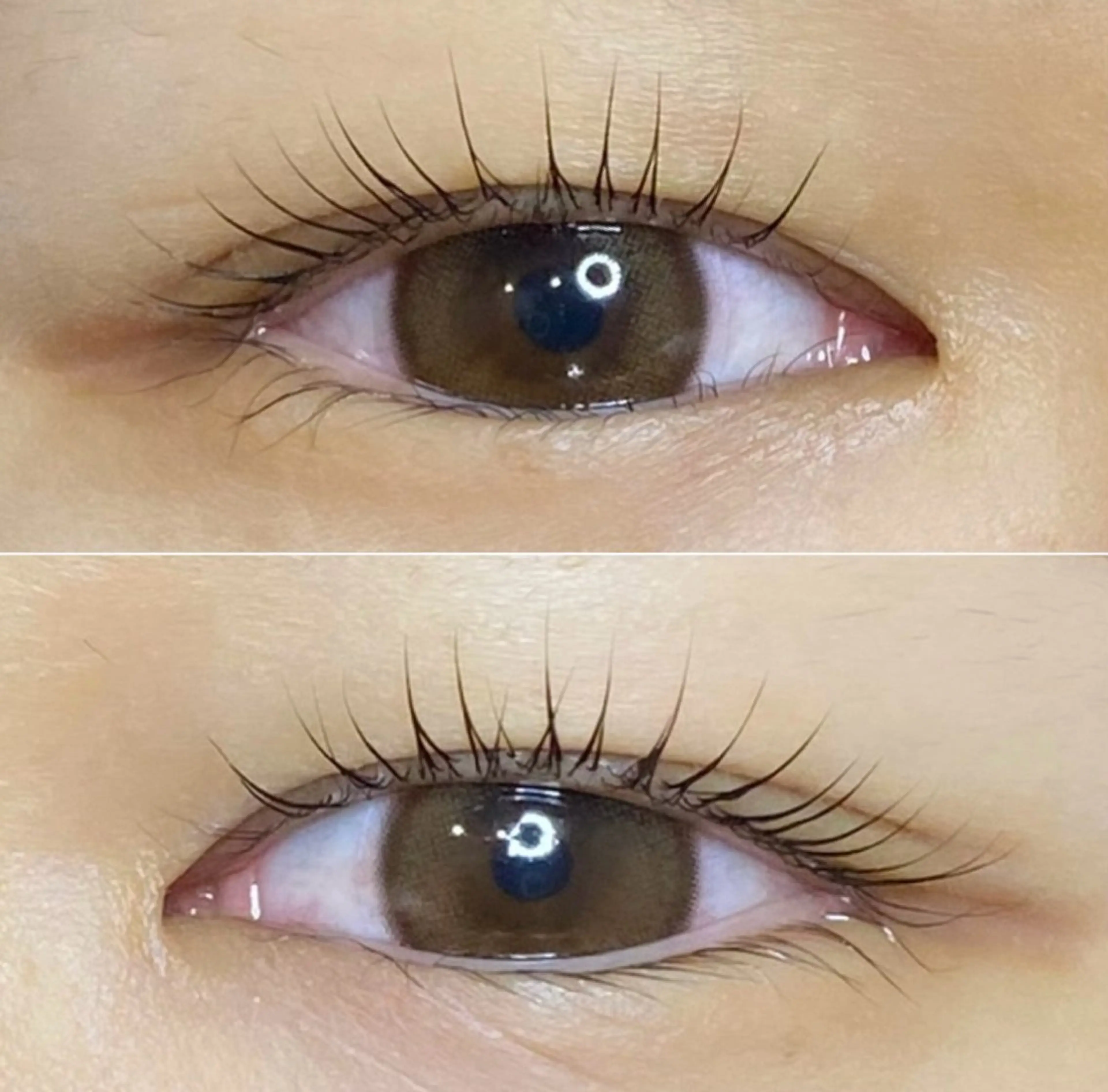 マツエク・マツパ まつ毛/眉毛/WAX 🌱半個室サロン結のマツエク・マツパデザイン