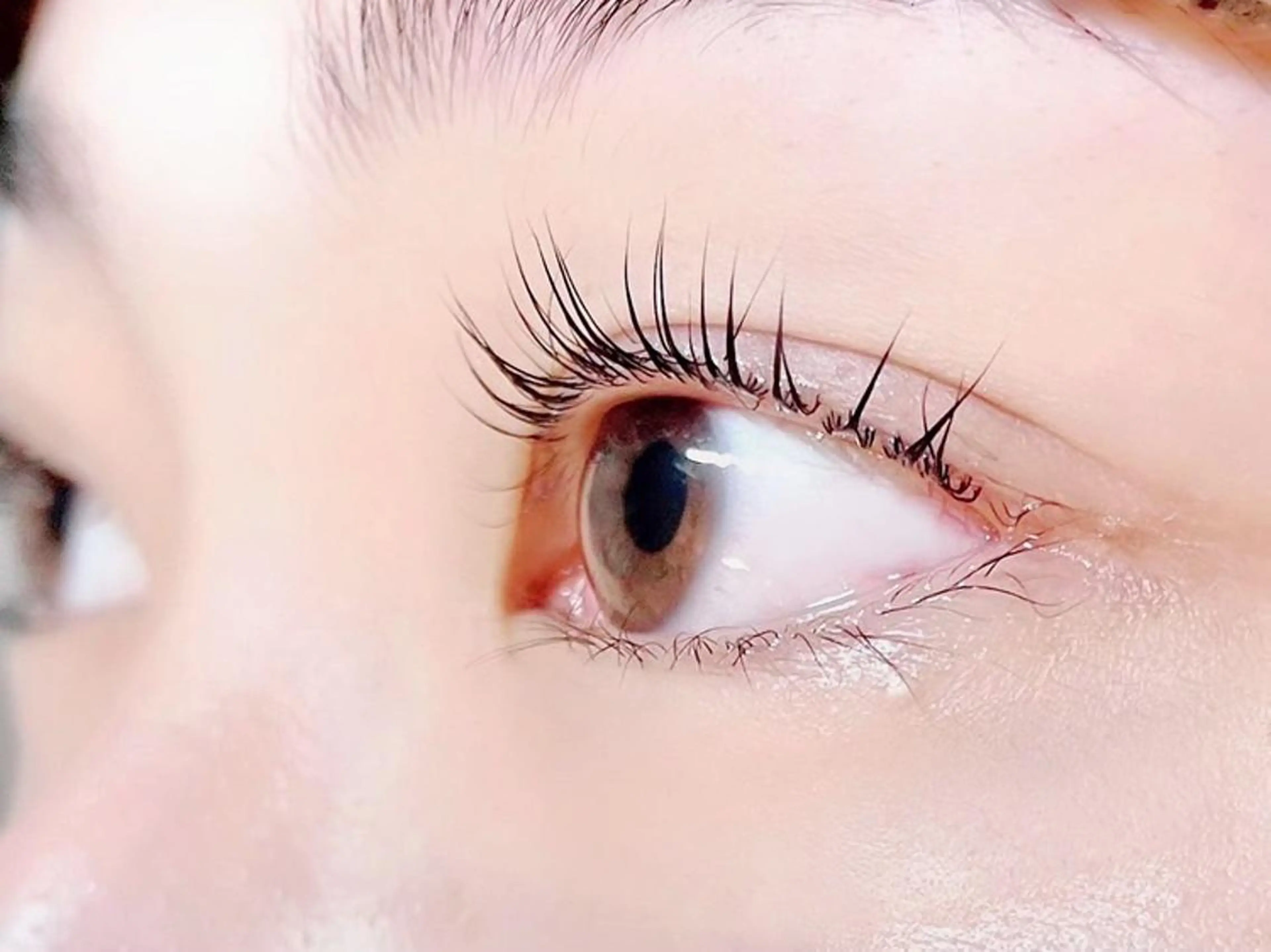 マツエク・マツパ Sanctuary 南森町店のヘアスタイル