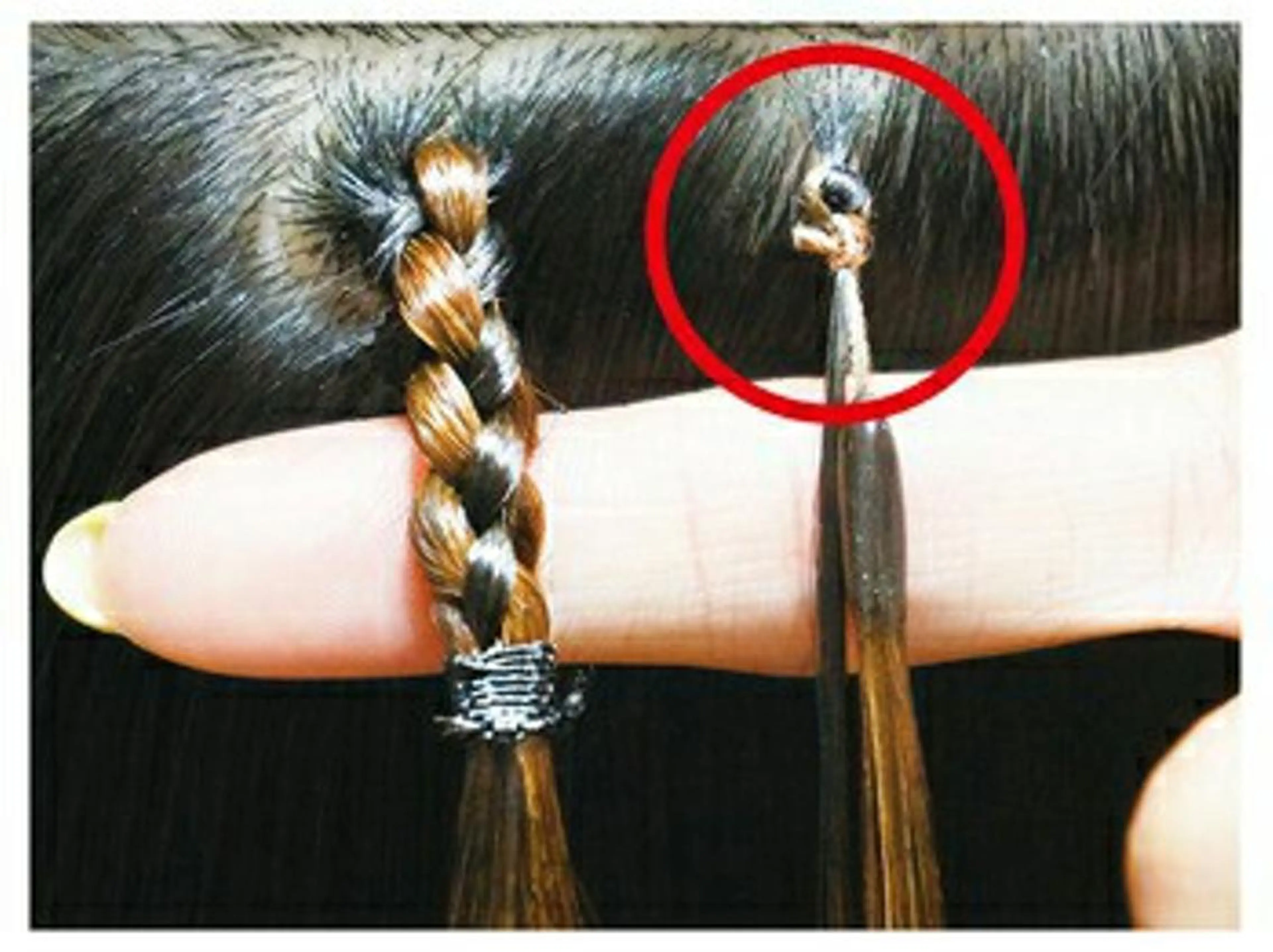 エクステ＆髪質改善★ 美容室 XIーONのヘアスタイル