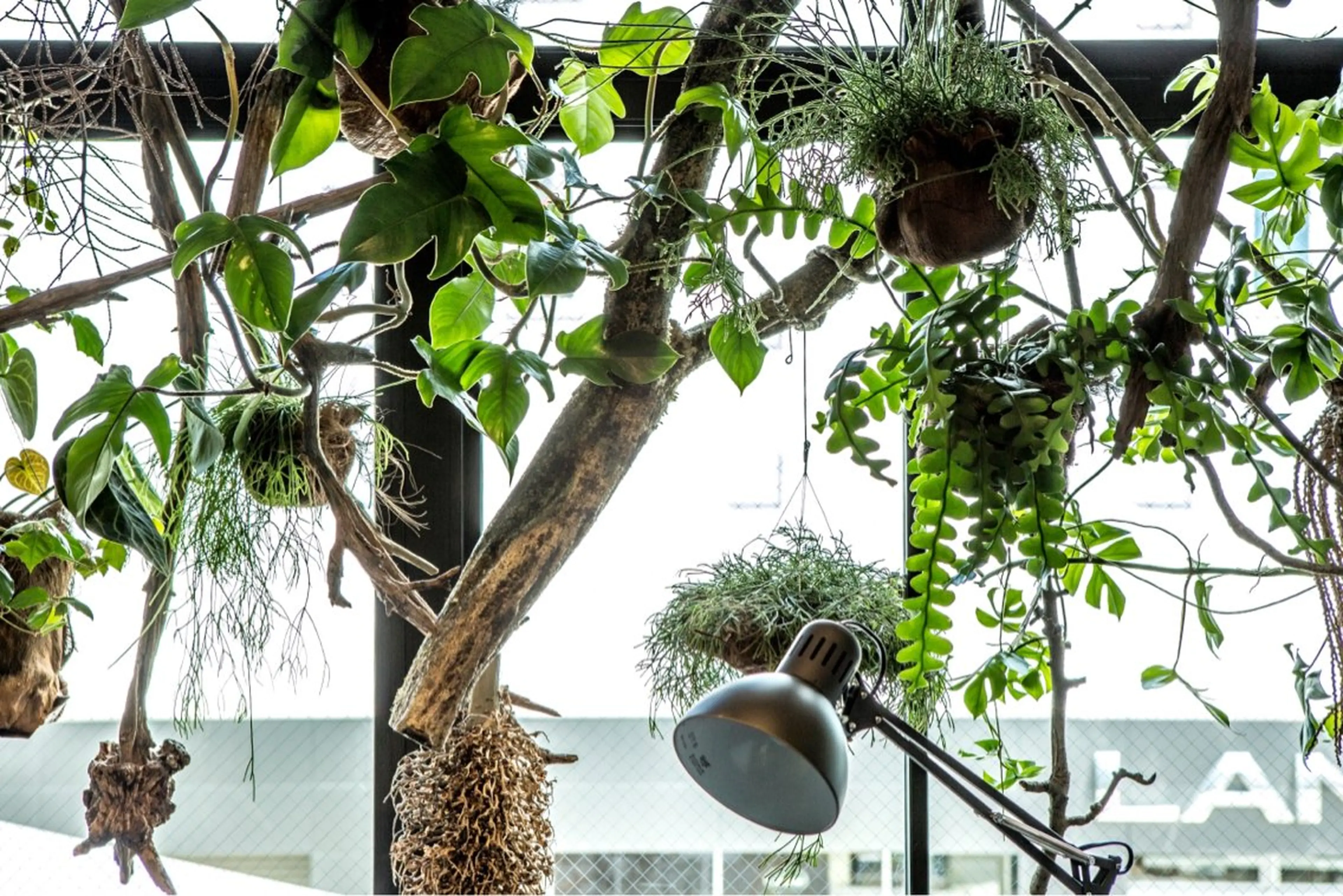 マツエク・マツパ UNPLAN maiのマツエク・マツパデザイン