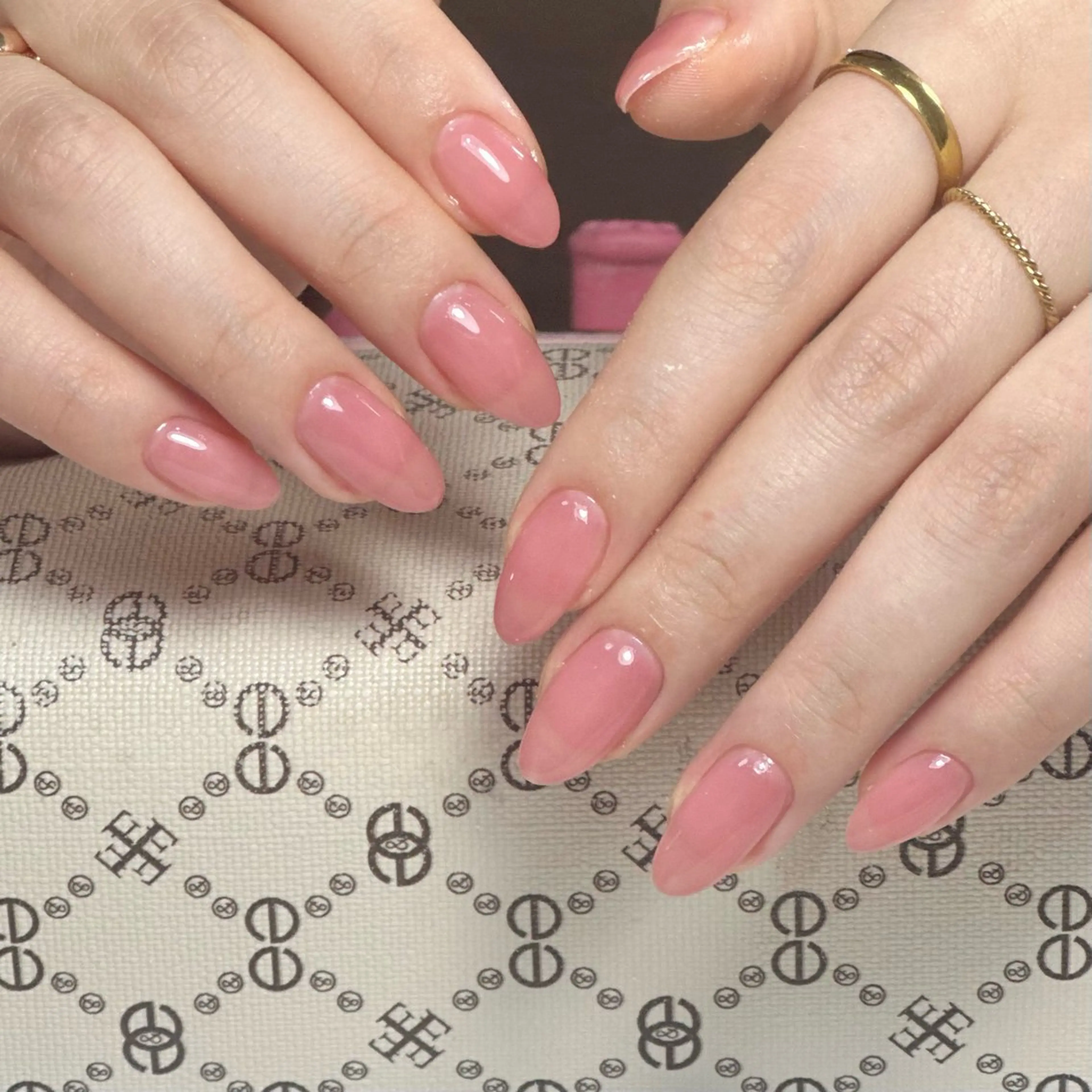 ワンカラーの写真