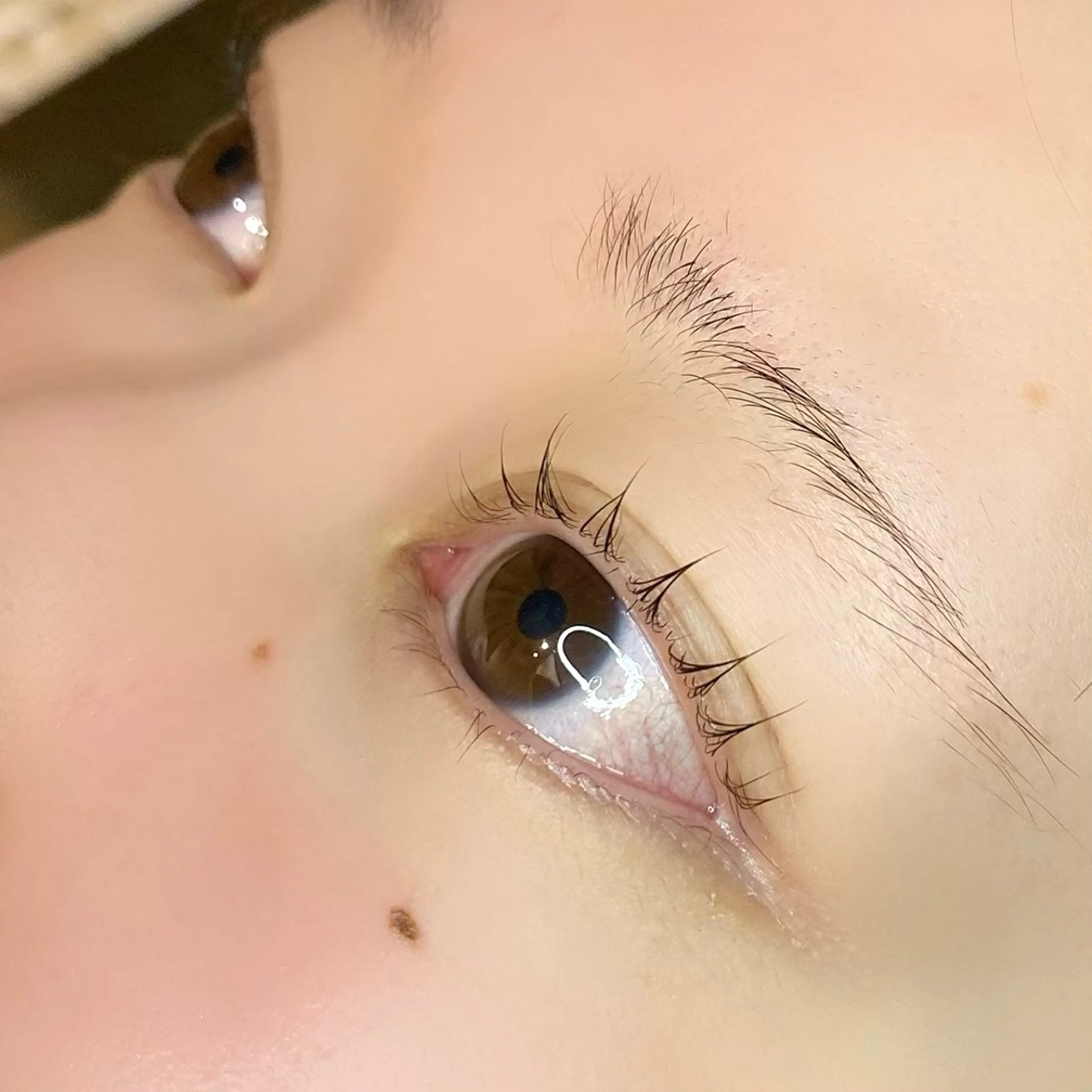 マツエク・マツパ 束感まつ毛 マツパ Plaisir イズミカワの眉毛・アイブロウイメージ