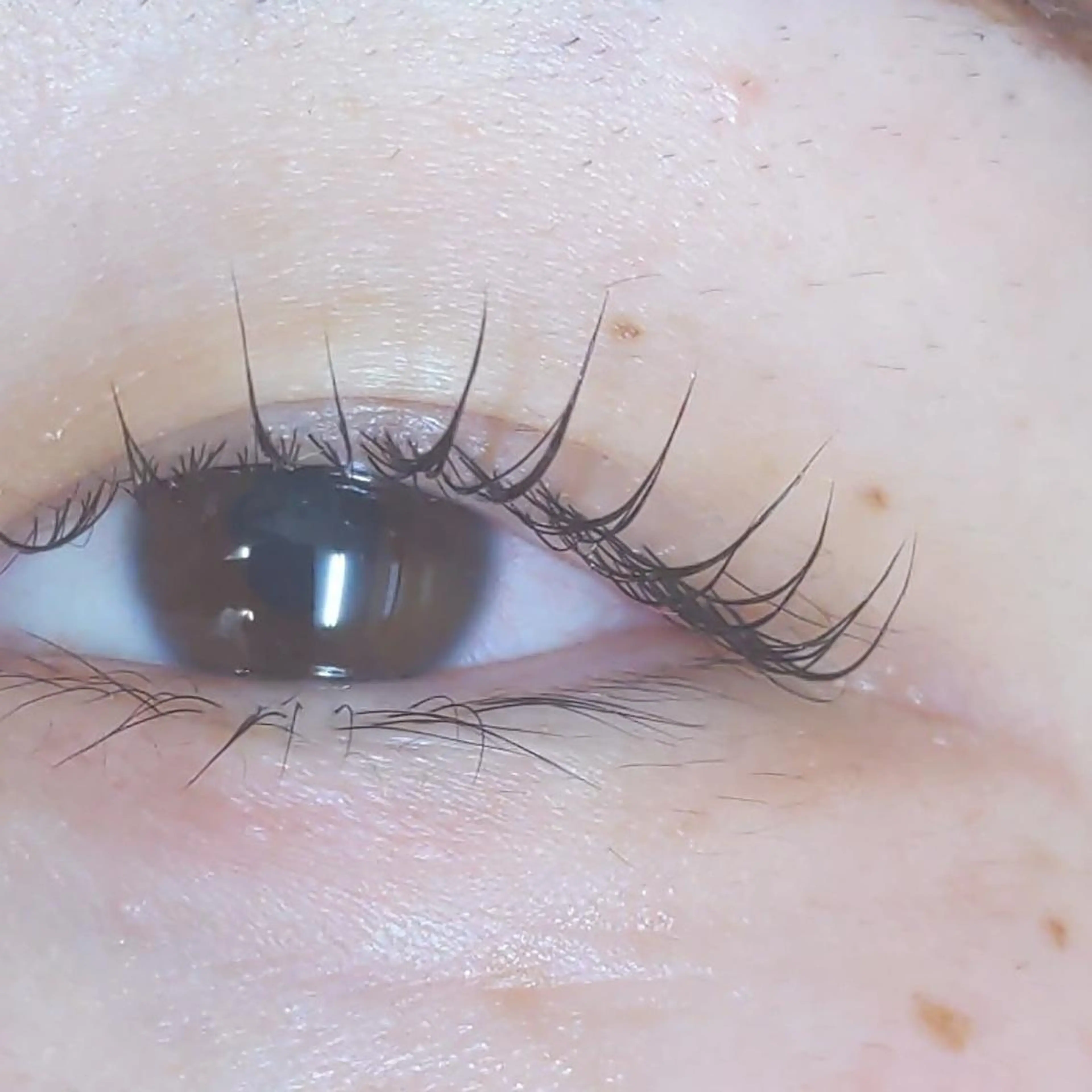 マツエク・マツパ マツパ メンズオーシャンブルー所属・藤中 満里奈の眉毛・アイブロウイメージ