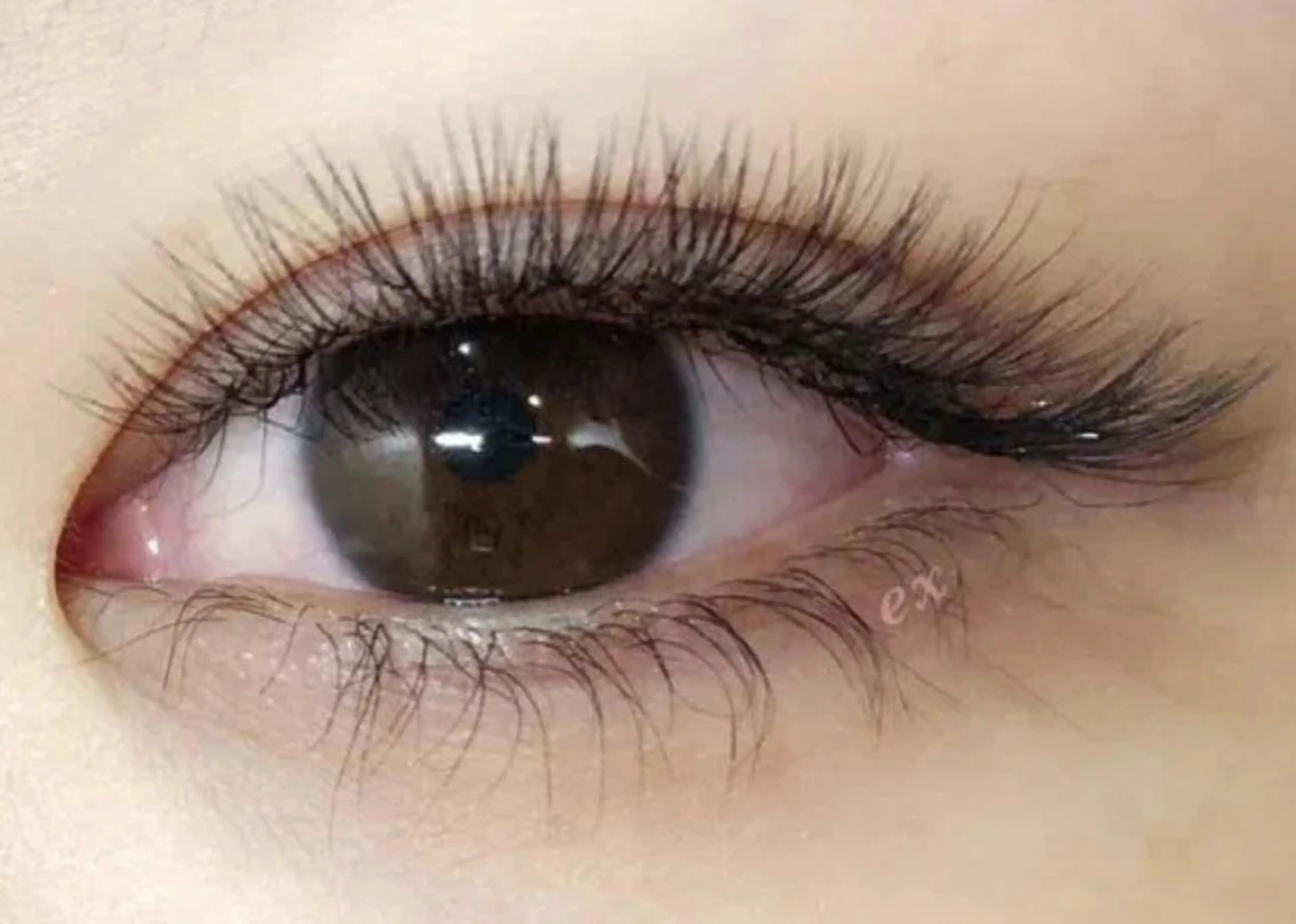 初回オフ無料　ボリュームラッシュ120本¥8500→¥7000の写真