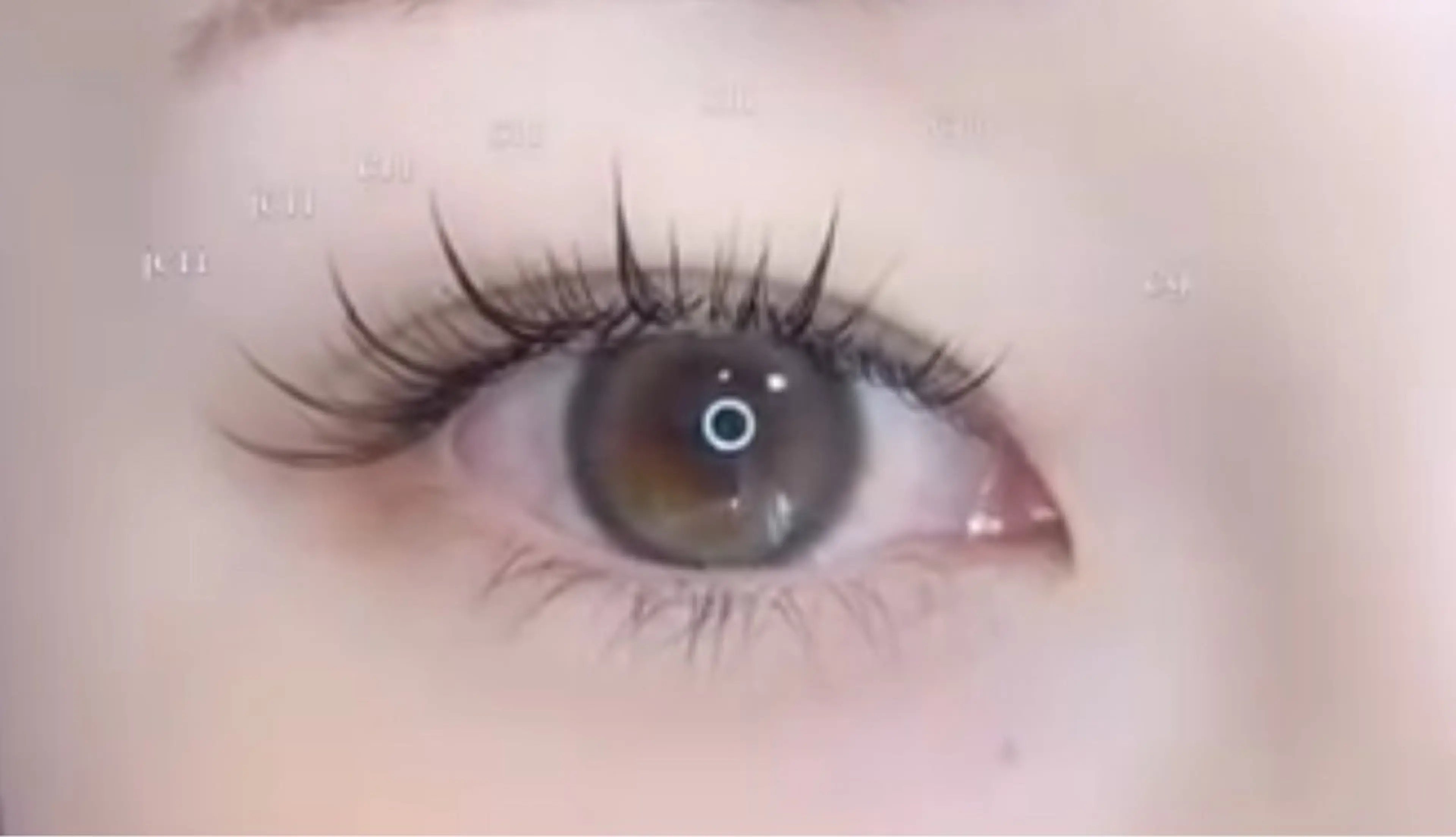 【無料レッスンモデル】天神橋筋六丁目駅前店での施術限定！10月4日14:00限定🕊️パリエク無料施術モニター募集！の写真