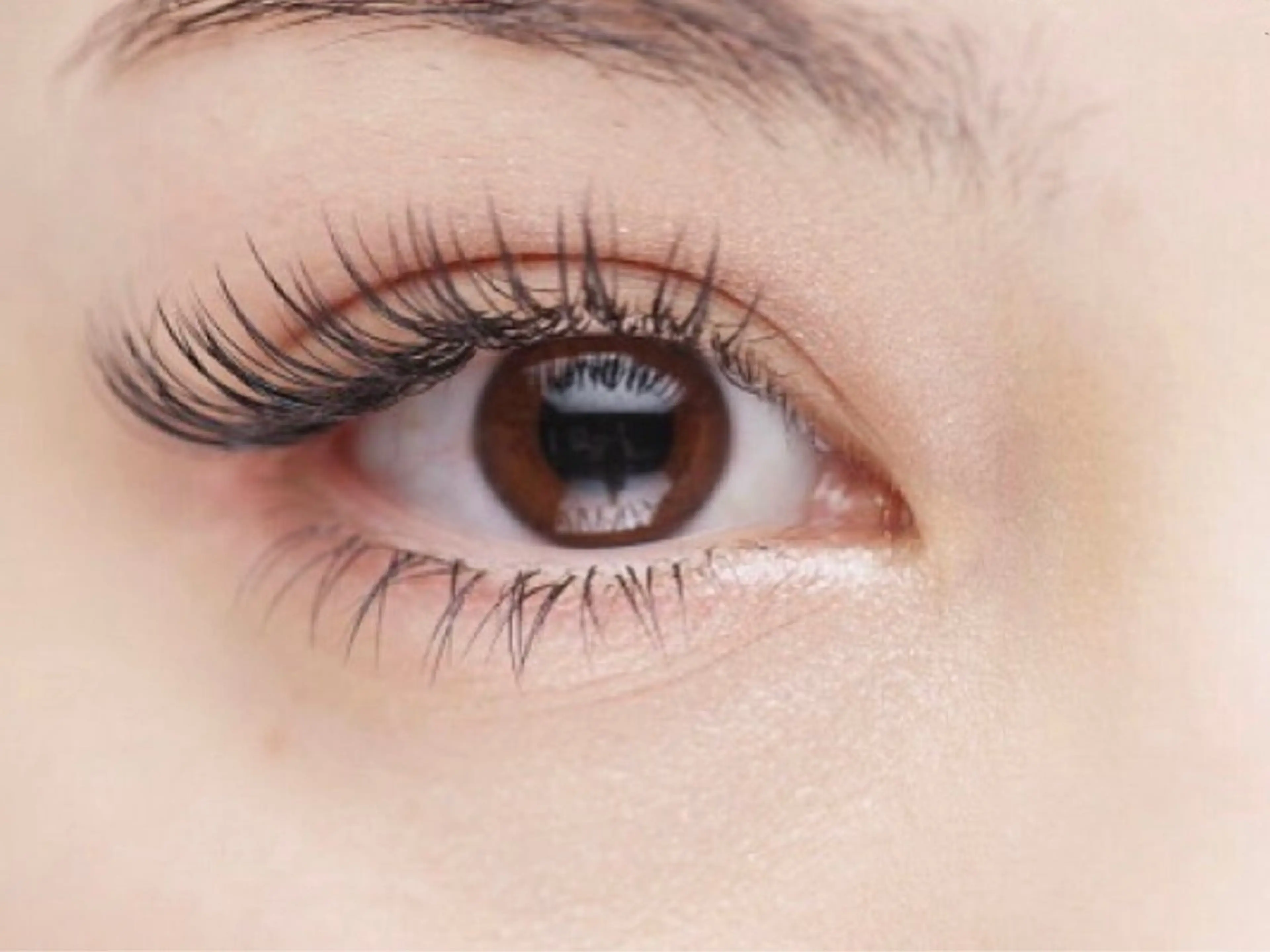 【付け足しのみ】3Dボリュームラッシュ 60束コーティング付の写真