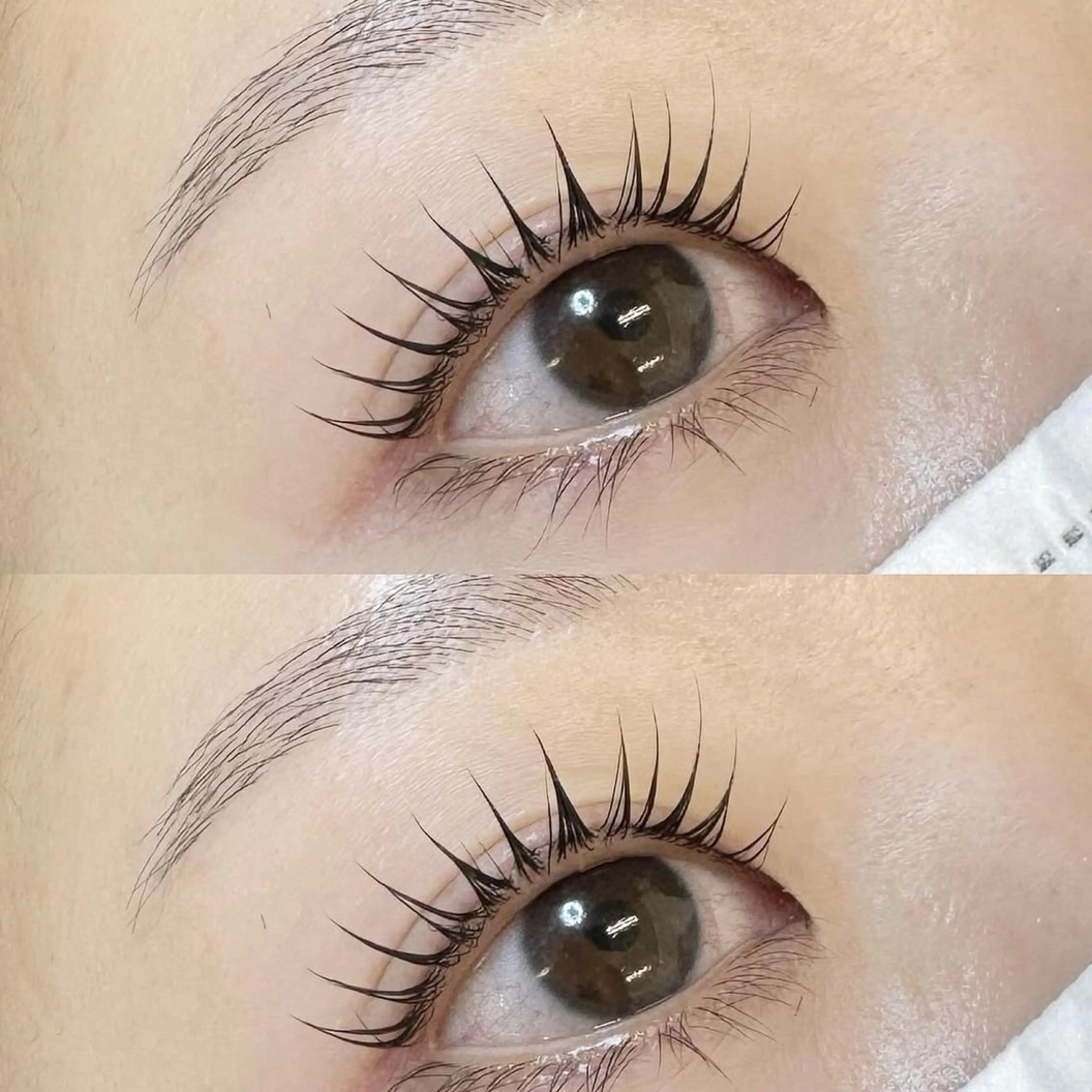 まつ毛パーマ上の写真