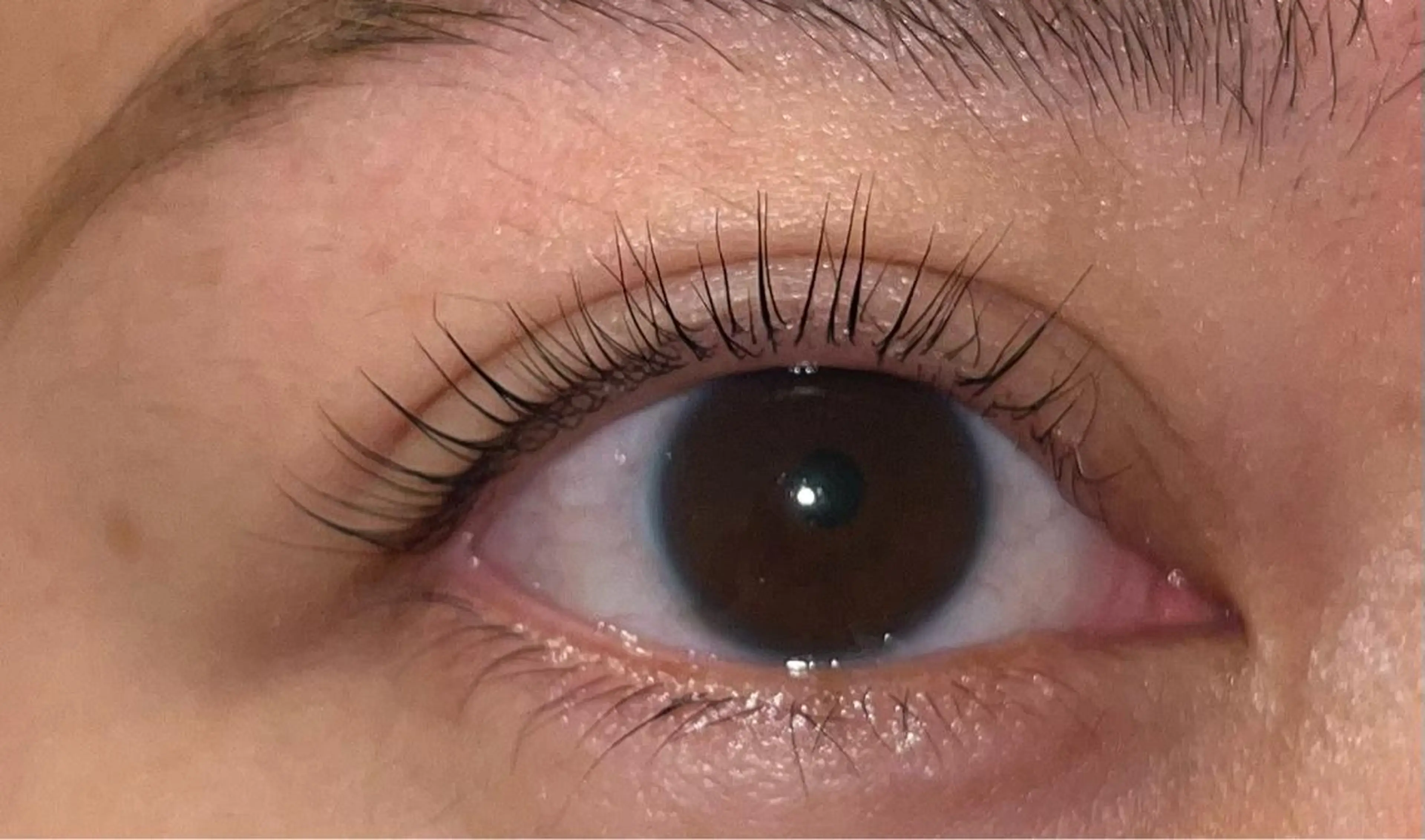 マツエク・マツパ TOKYOBABE 池袋店のマツエク・マツパデザイン