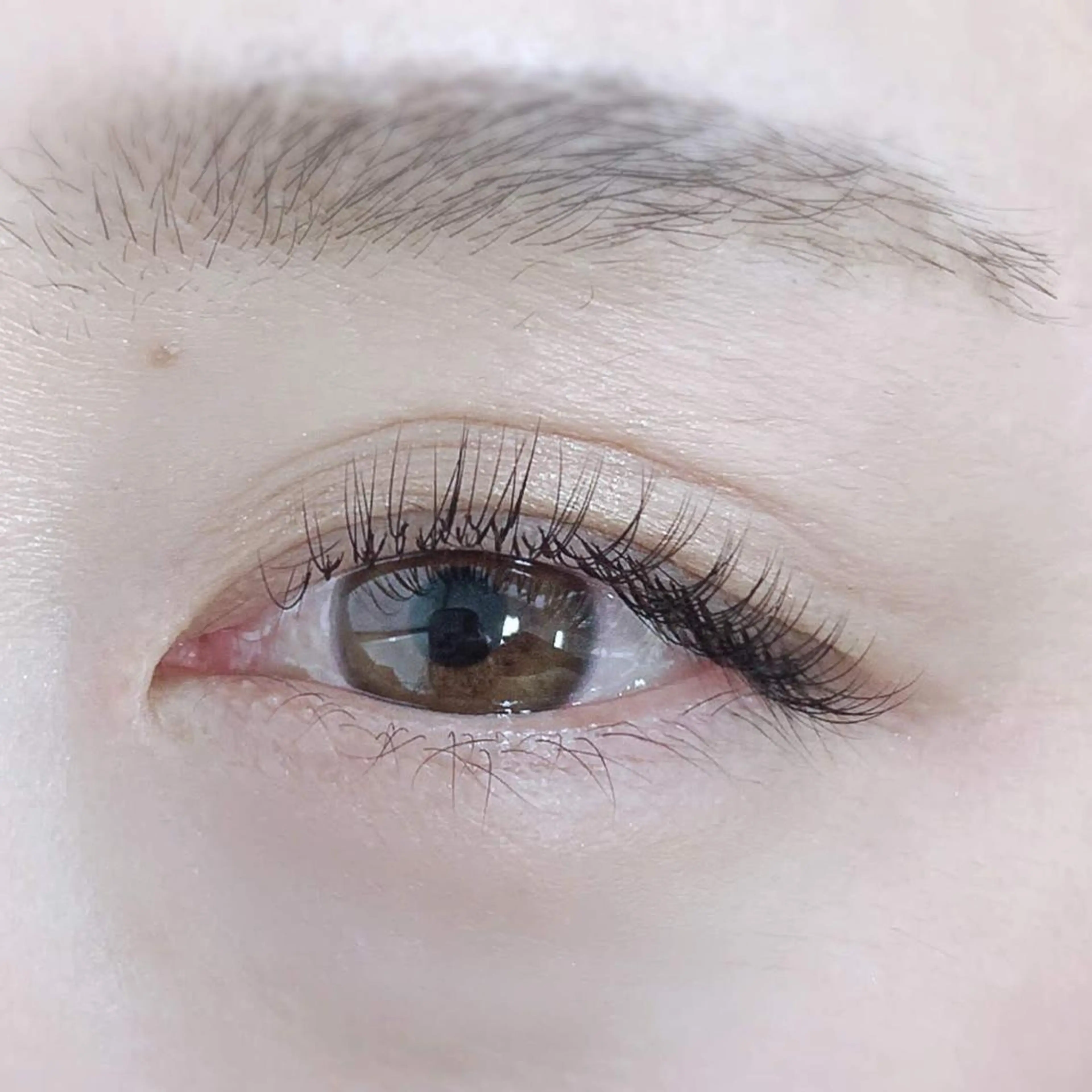 平日限定🌼フラットラッシュ🌼オフ込1時間つけ放題　コーティング仕上げの写真