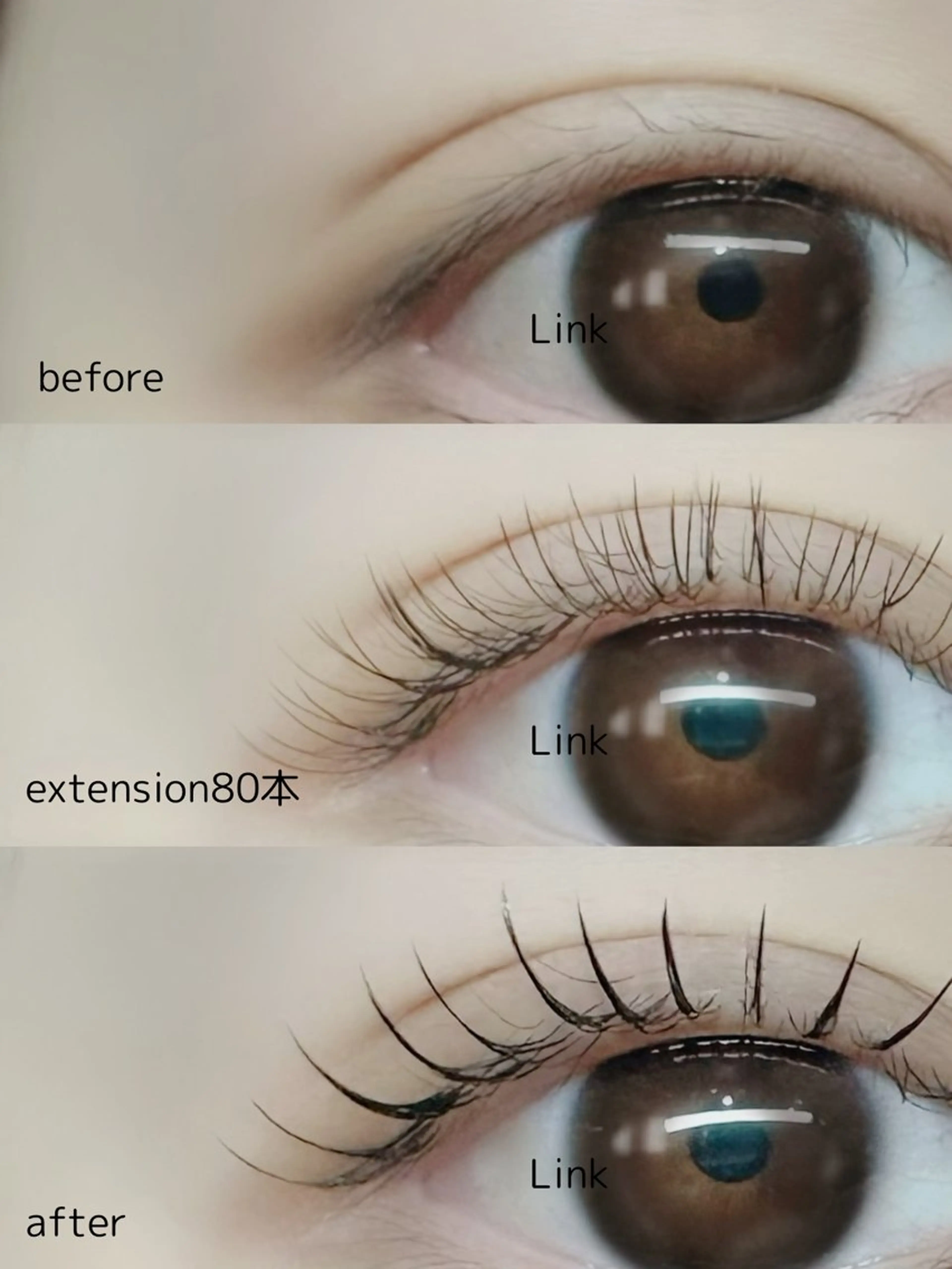 マツエク・マツパ Link−丸野− 【札幌|大通】のマツエク・マツパデザイン